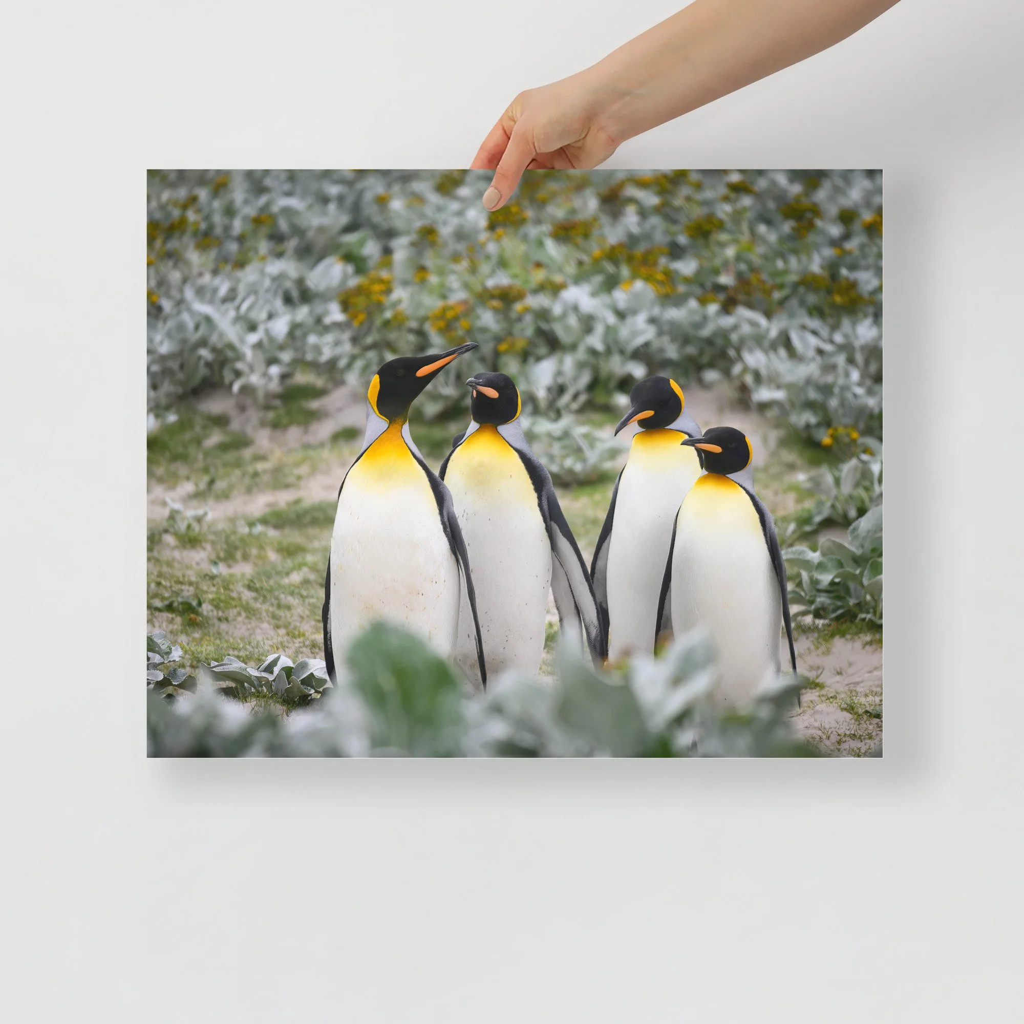 enhanced-matte-paper-poster-(in)-16x20-front-63c07d45eda14.jpg