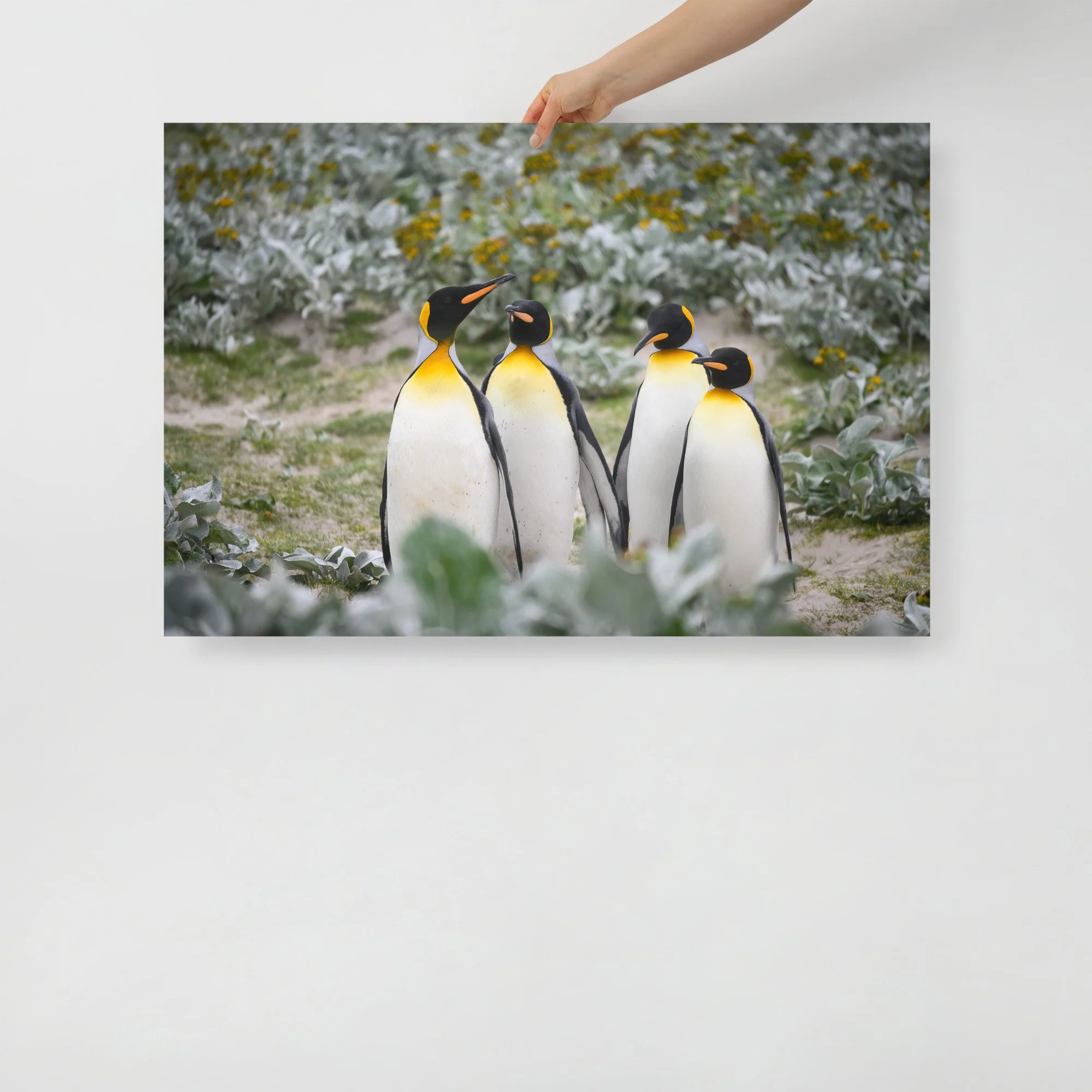 enhanced-matte-paper-poster-(in)-24x36-front-63c07d45edb0c.jpg