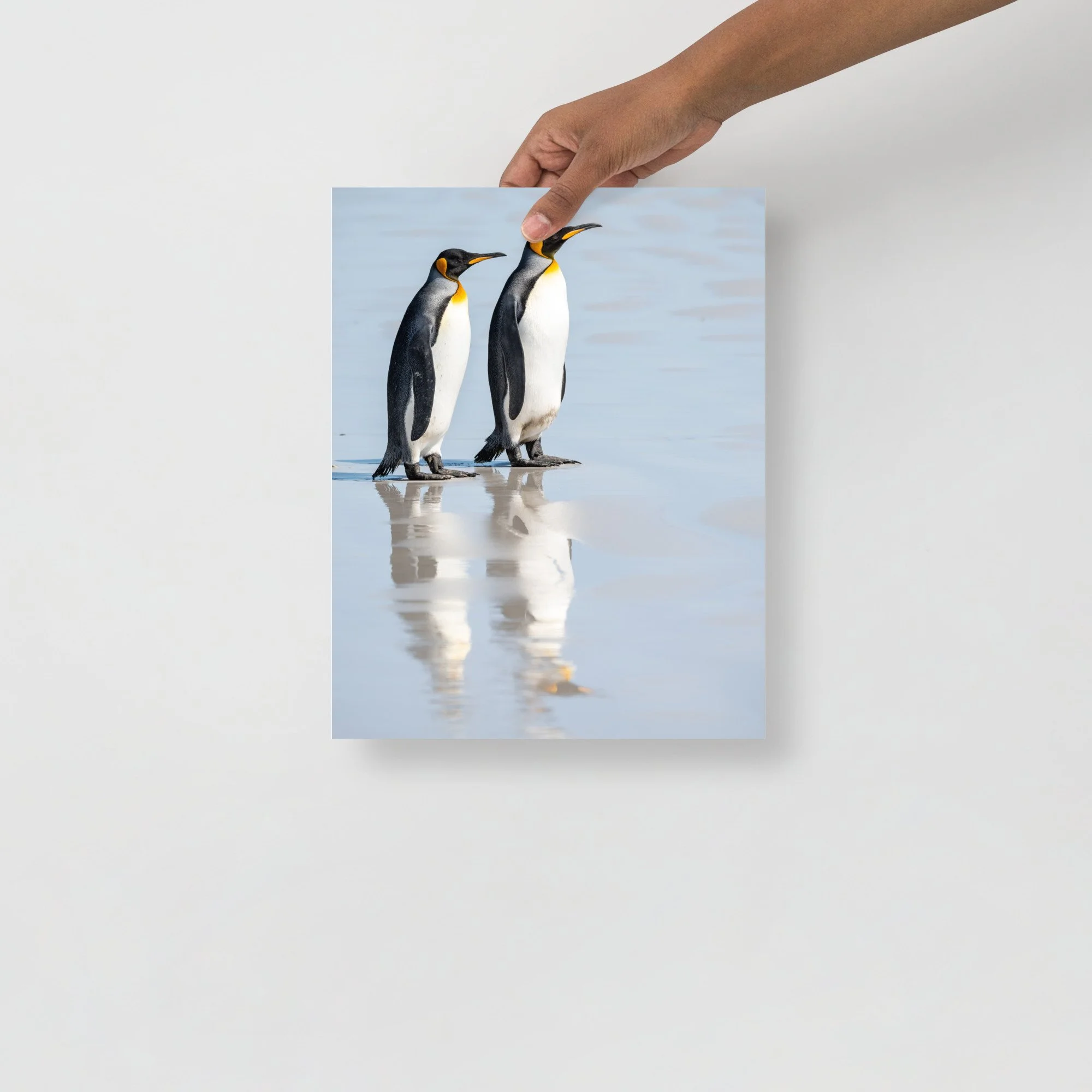 enhanced-matte-paper-poster-(in)-11x14-front-63d1dbc985e09.jpg