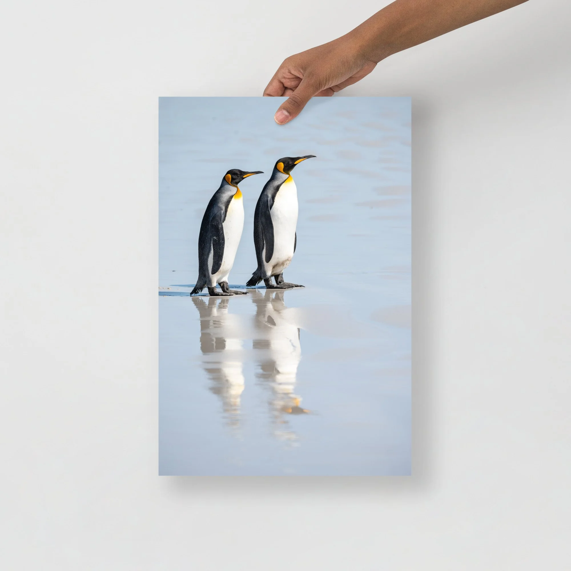 enhanced-matte-paper-poster-(in)-12x18-front-63d1dbc985eae.jpg