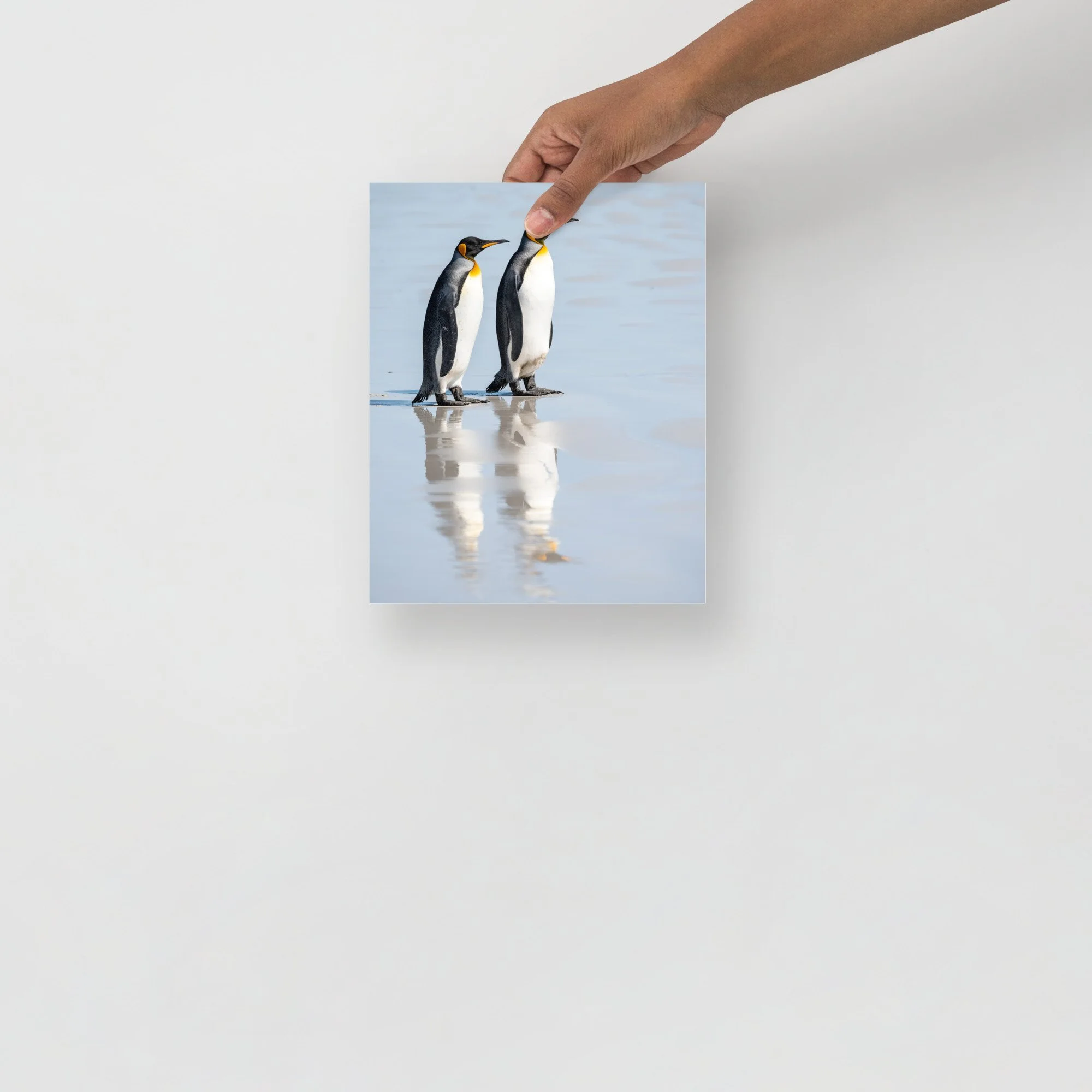 enhanced-matte-paper-poster-(in)-8x10-front-63d1dbc986084.jpg