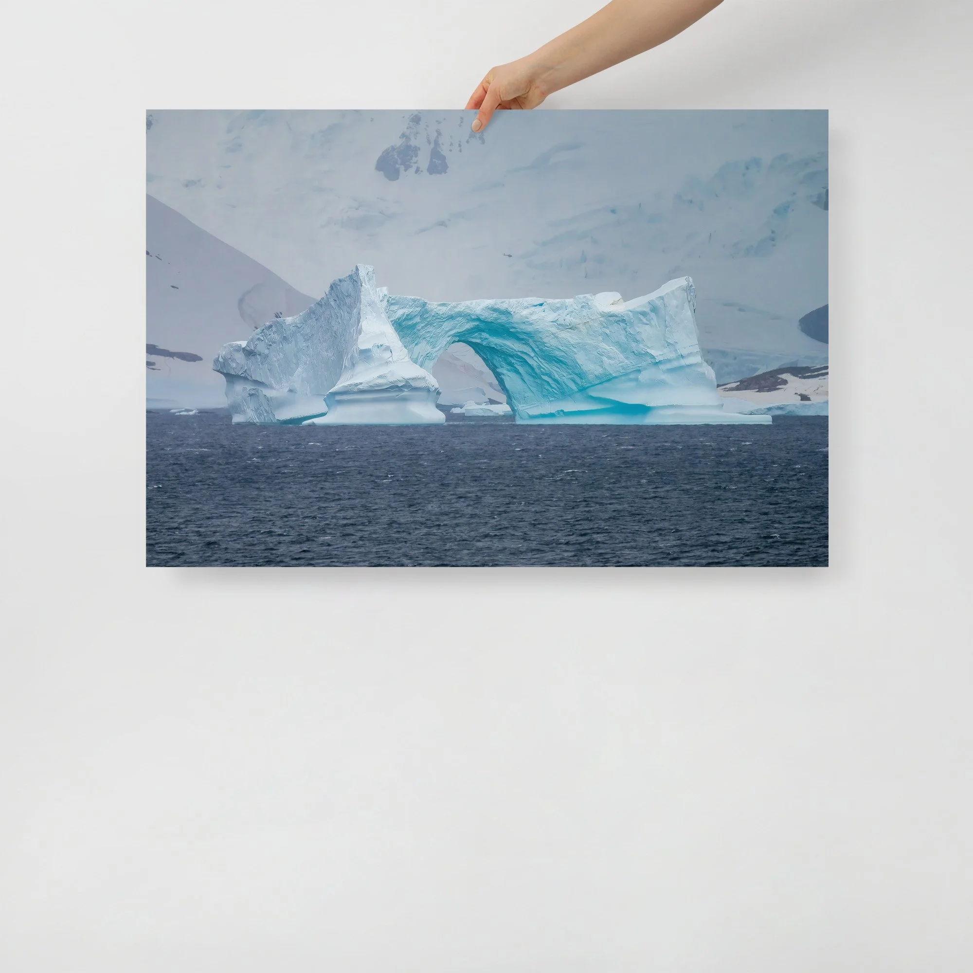 enhanced-matte-paper-poster-(in)-24x36-front-63d1e0e487fe8.jpg