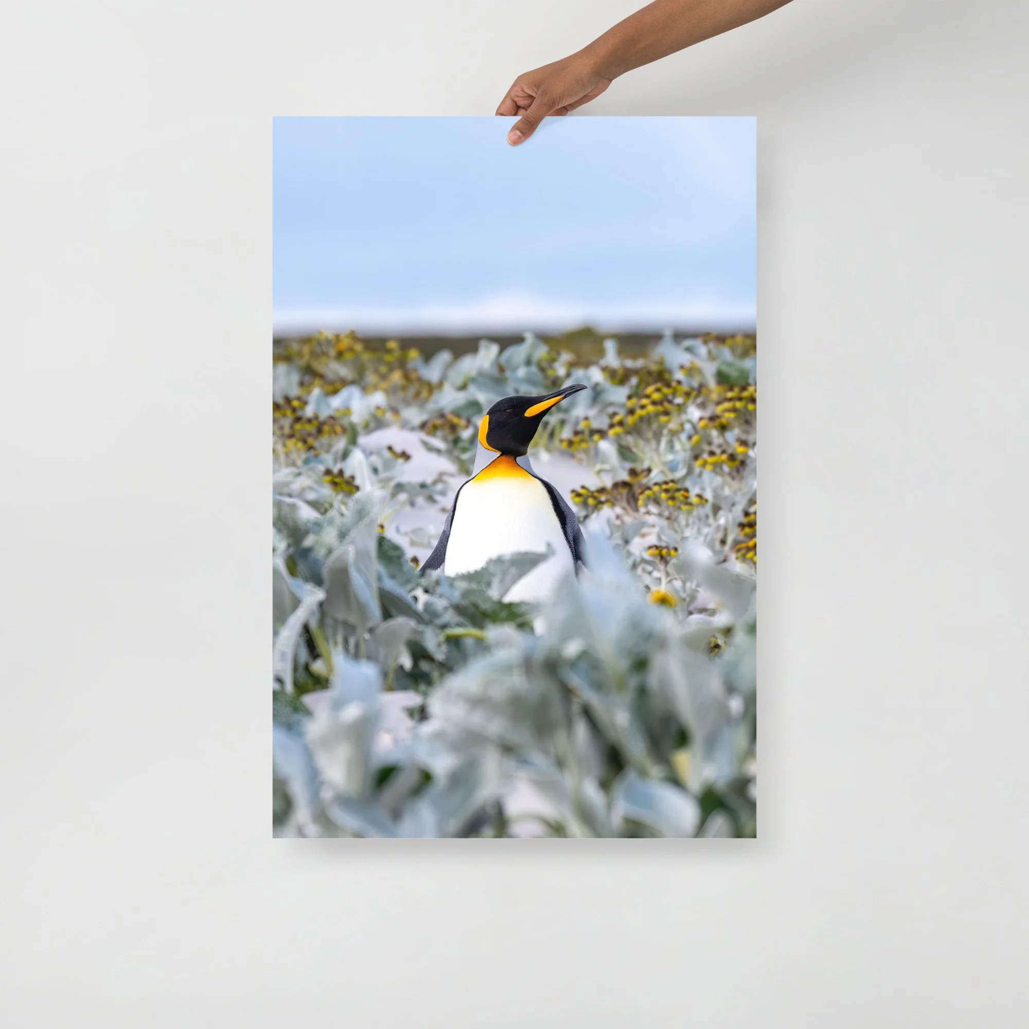 enhanced-matte-paper-poster-(in)-24x36-front-6425b30e47f86.jpg