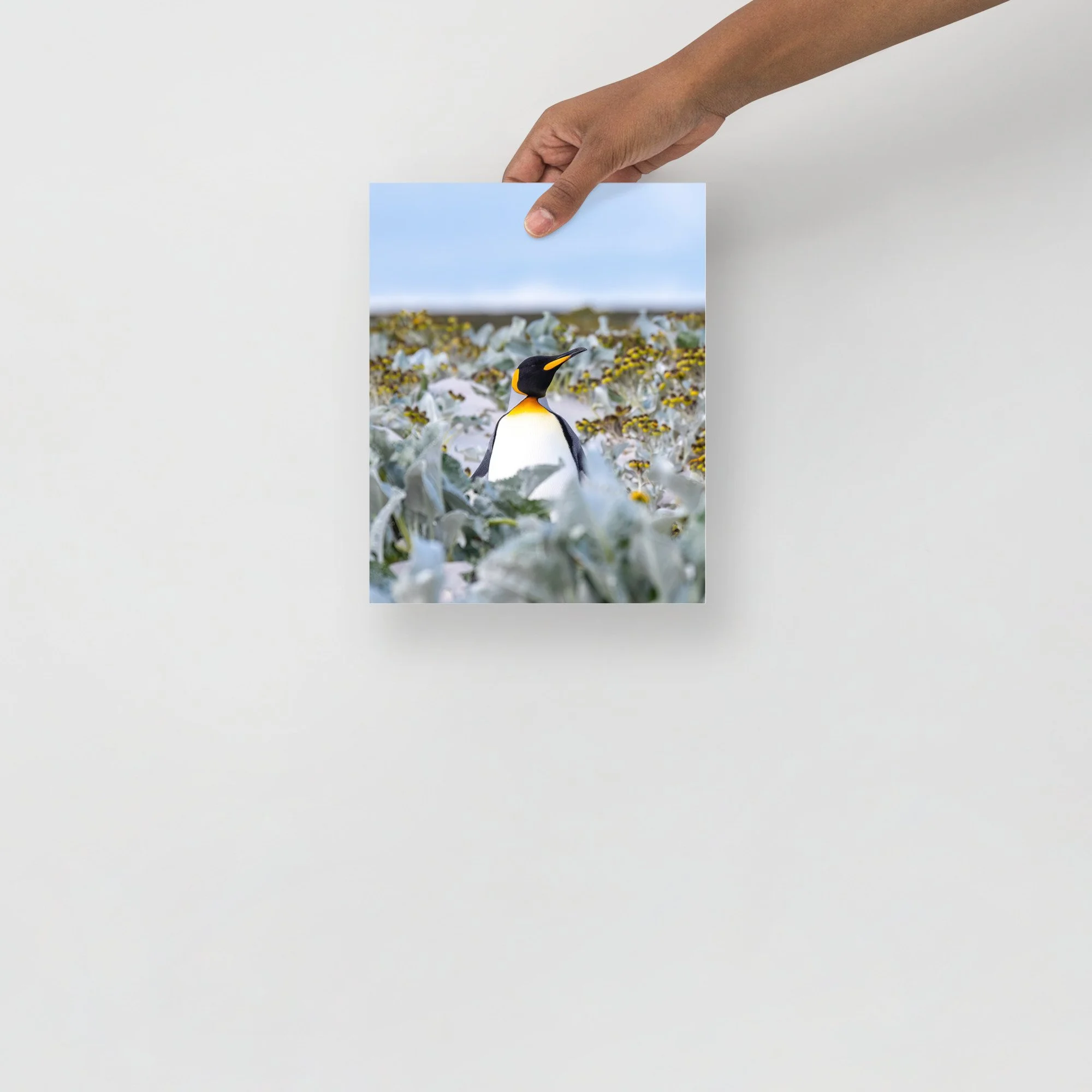 enhanced-matte-paper-poster-(in)-8x10-front-6425b30e48039.jpg