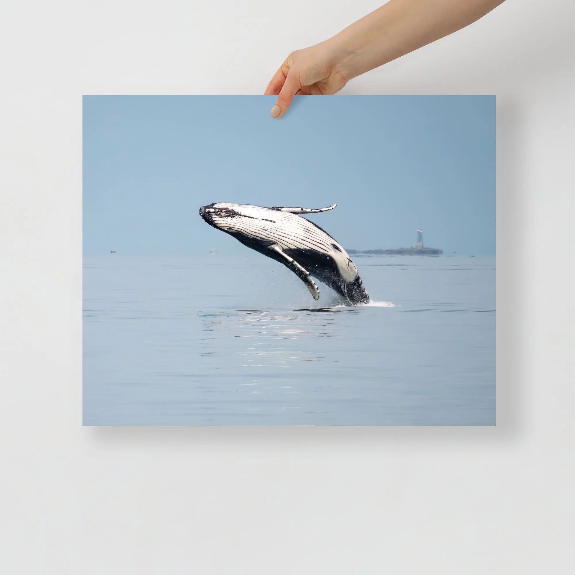 enhanced-matte-paper-poster-(in)-16x20-front-647a7ef197f72.jpg