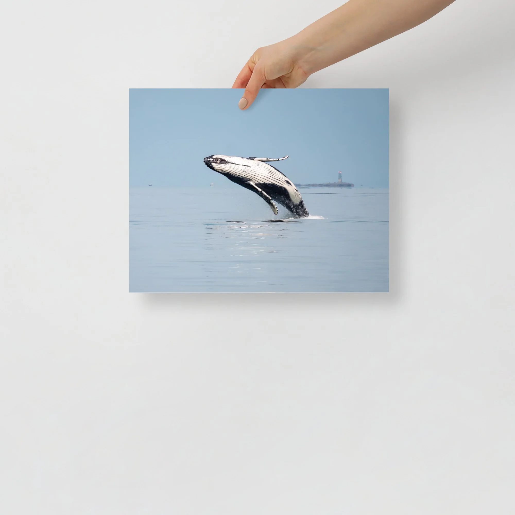 enhanced-matte-paper-poster-(in)-11x14-front-647a7ef198c80.jpg