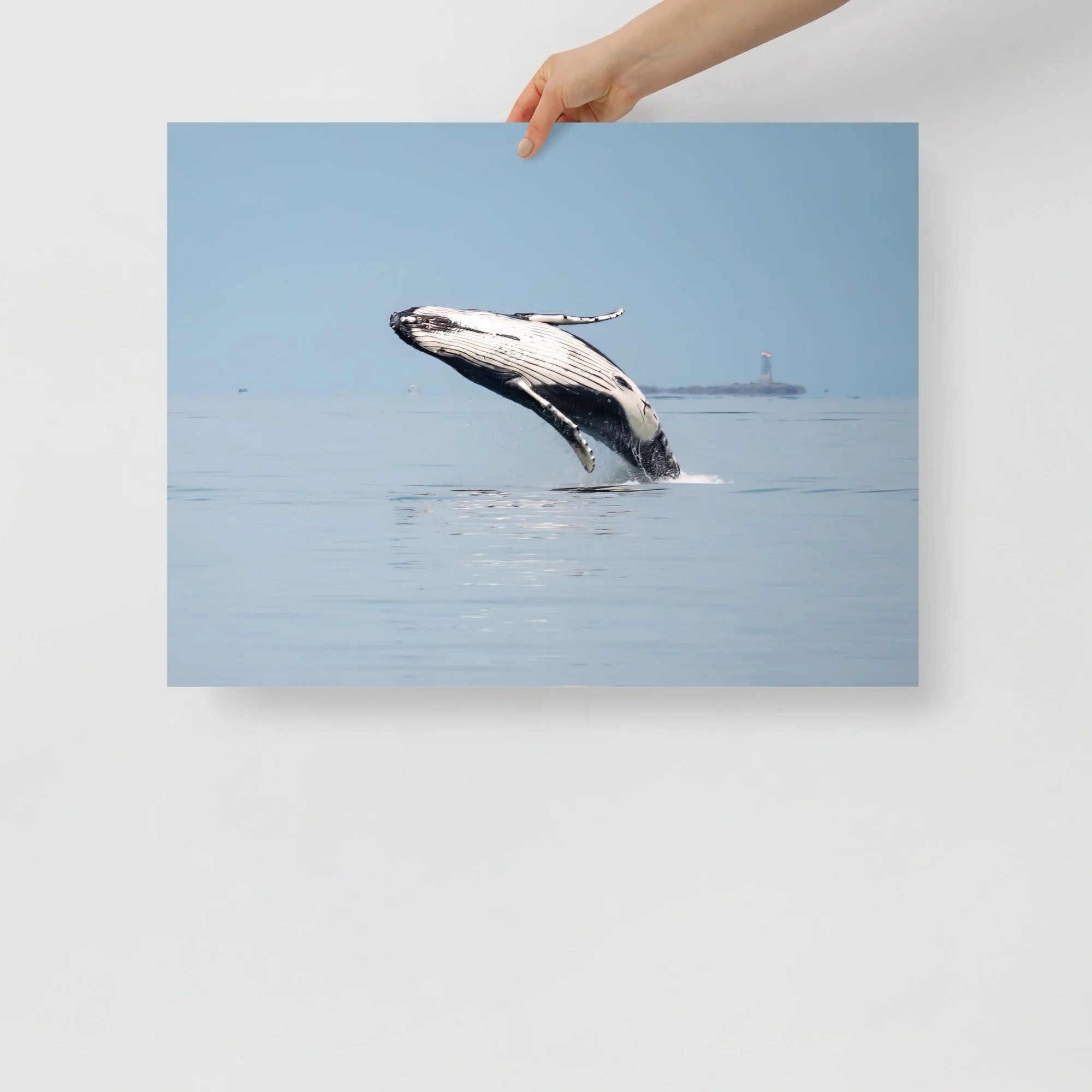 enhanced-matte-paper-poster-(in)-18x24-front-647a7ef198e26.jpg