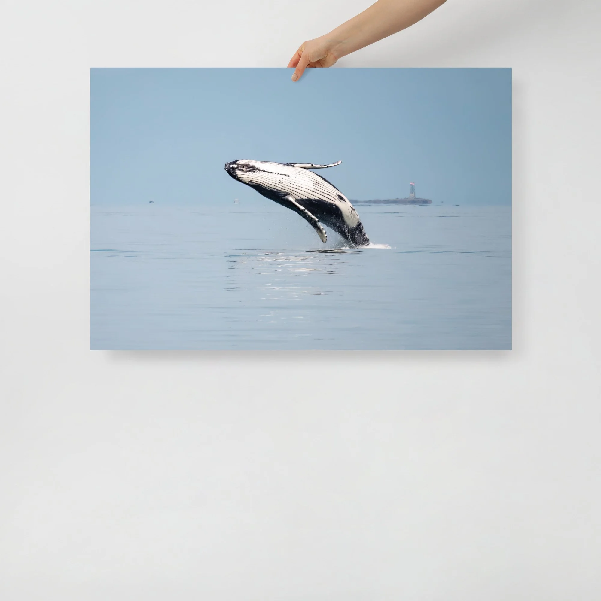 enhanced-matte-paper-poster-(in)-24x36-front-647a7ef198e8e.jpg