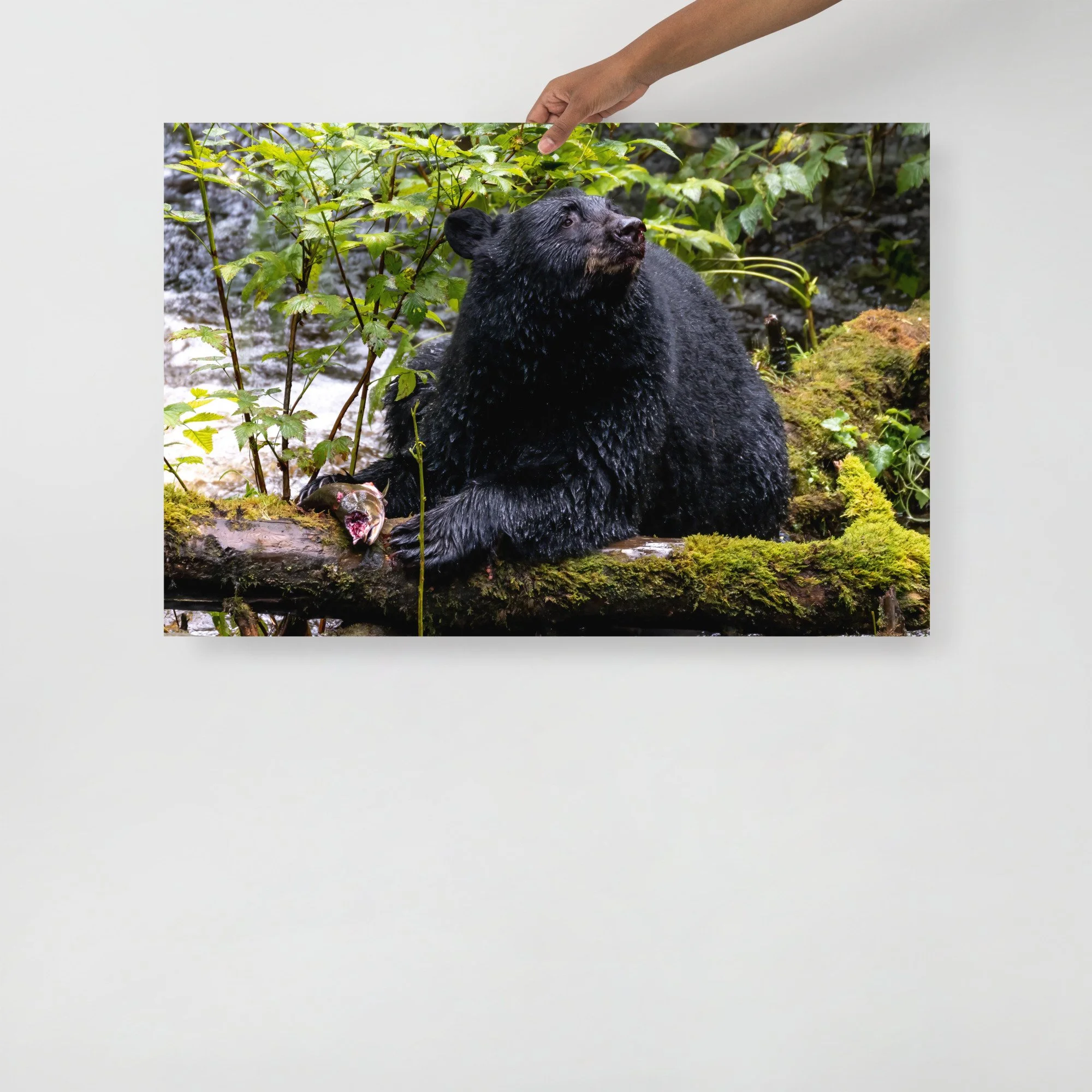 enhanced-matte-paper-poster-(in)-24x36-front-647a860338b7f.jpg