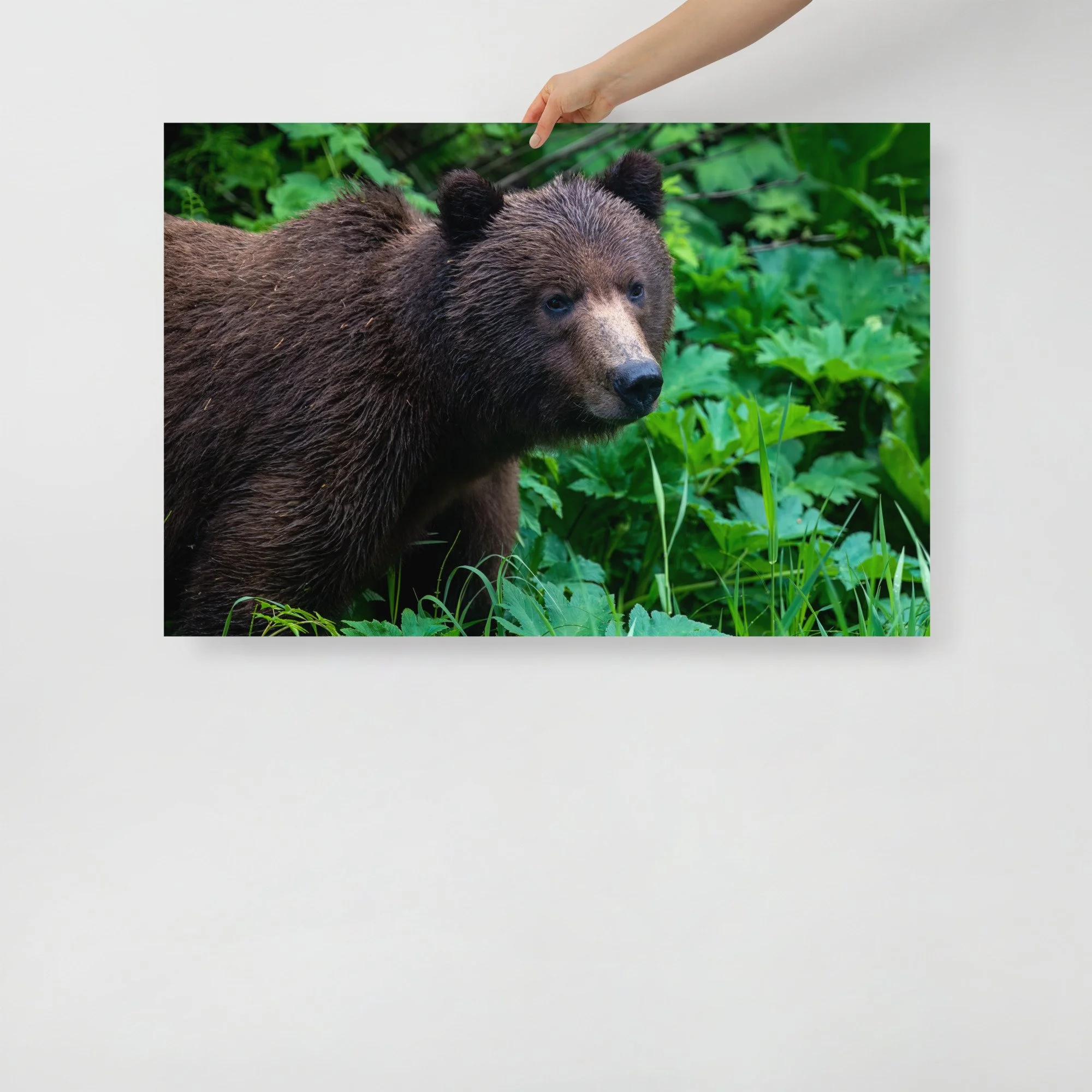 enhanced-matte-paper-poster-(in)-24x36-front-647bac7bb944f.jpg
