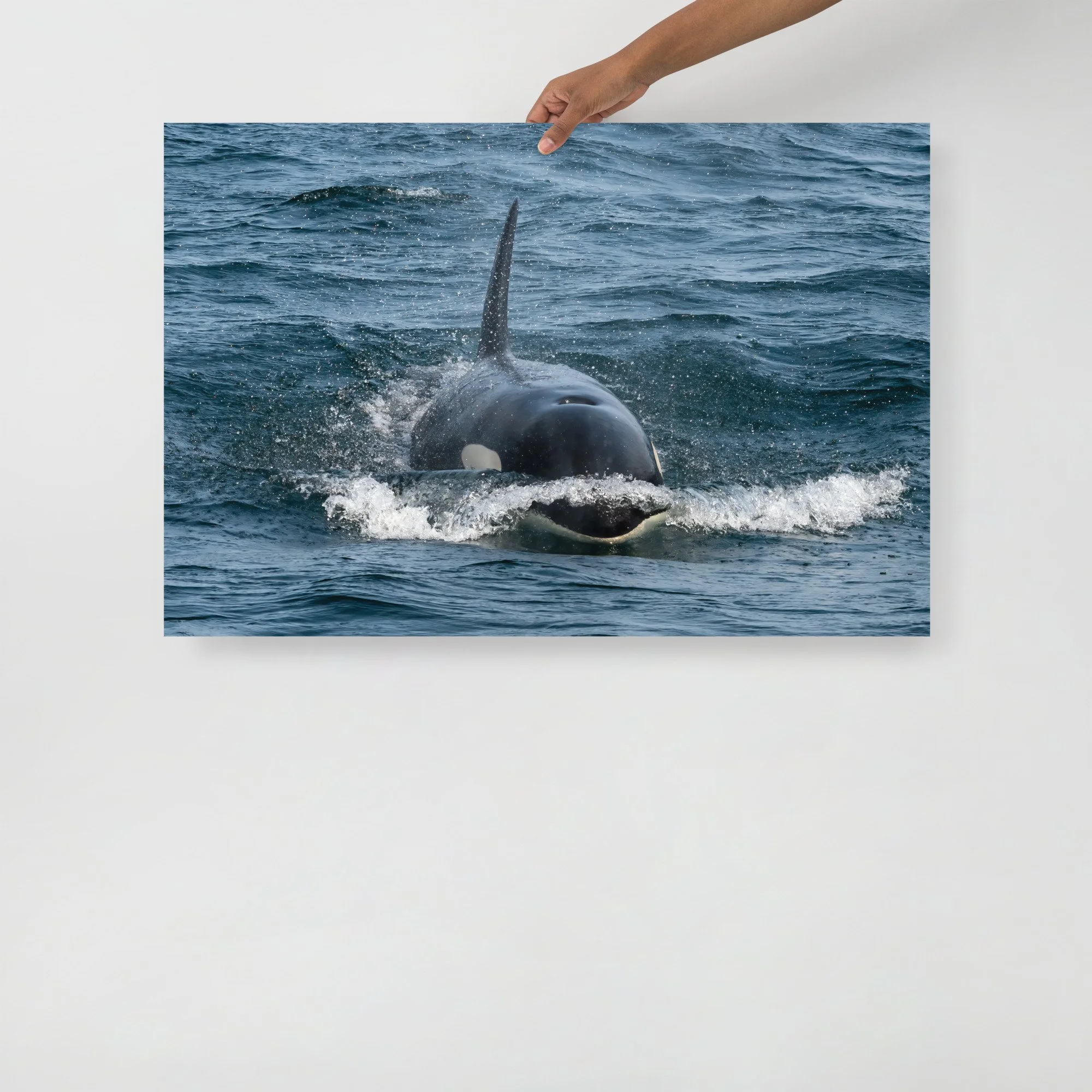 enhanced-matte-paper-poster-(in)-24x36-front-647baff0883f6.jpg