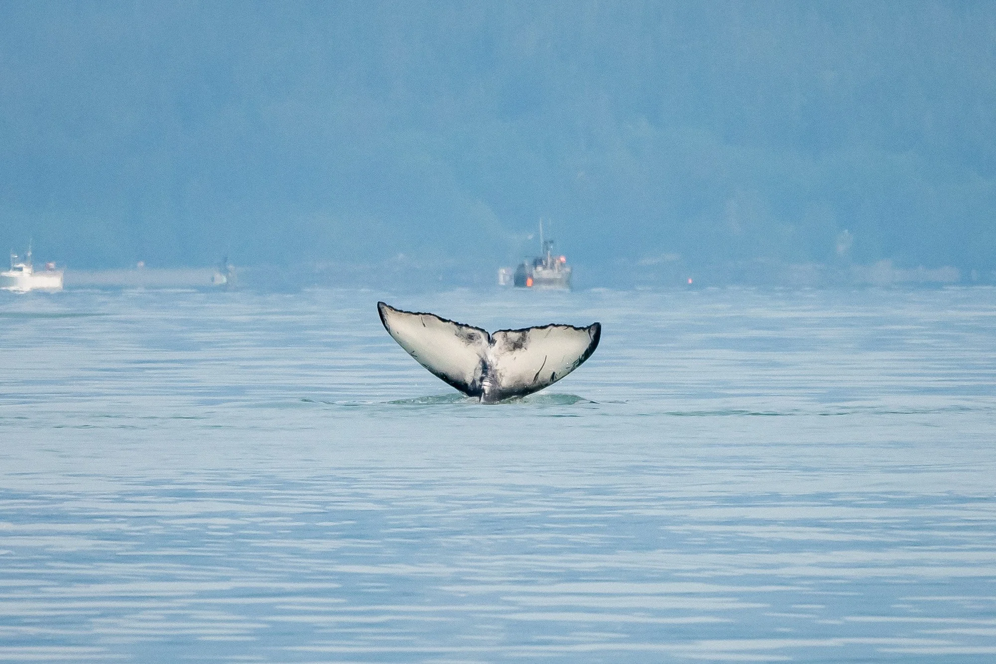 Best of Alaska (6).jpg