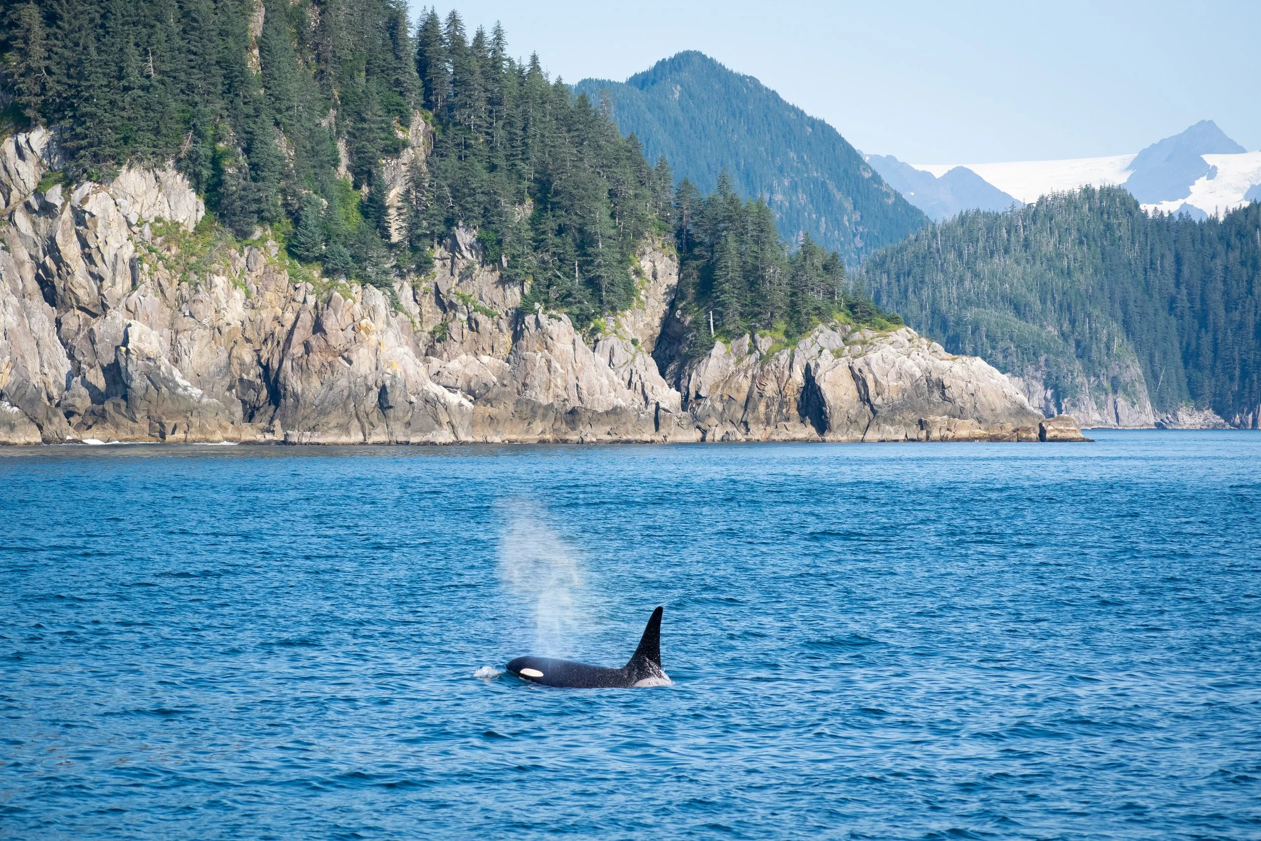 Best of Alaska (2).jpg