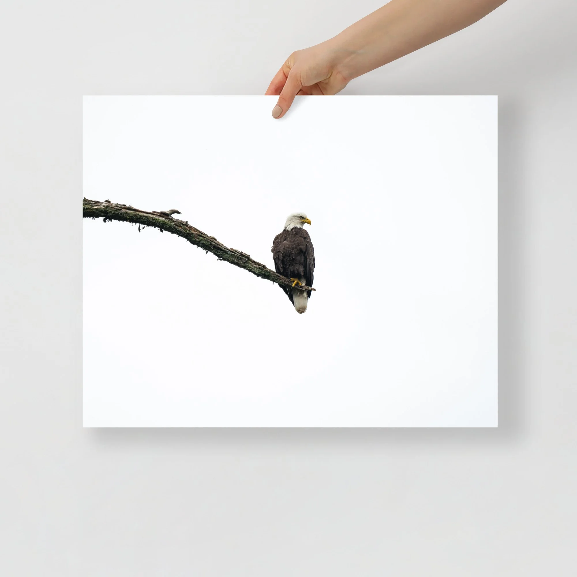 enhanced-matte-paper-poster-(in)-16x20-front-64c080405947e.jpg