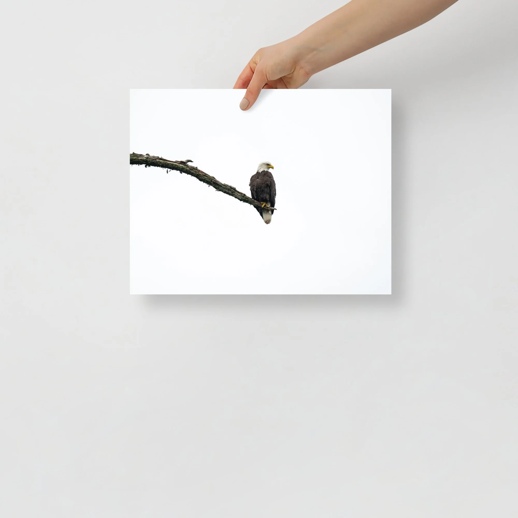 enhanced-matte-paper-poster-(in)-11x14-front-64c080405aace.jpg