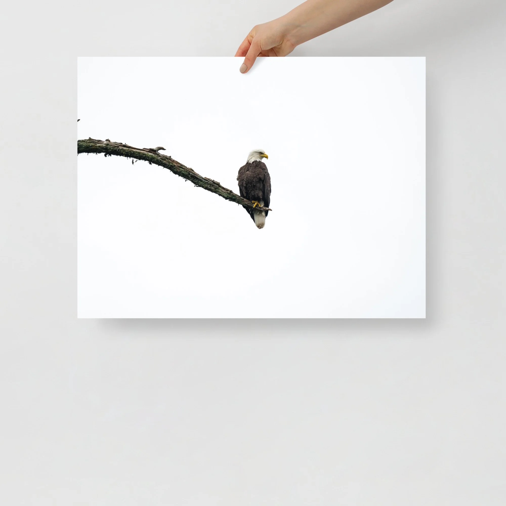 enhanced-matte-paper-poster-(in)-18x24-front-64c080405ac89.jpg