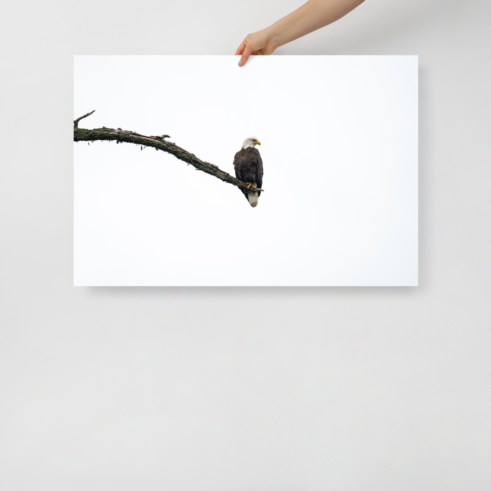 enhanced-matte-paper-poster-(in)-24x36-front-64c080405ad20.jpg