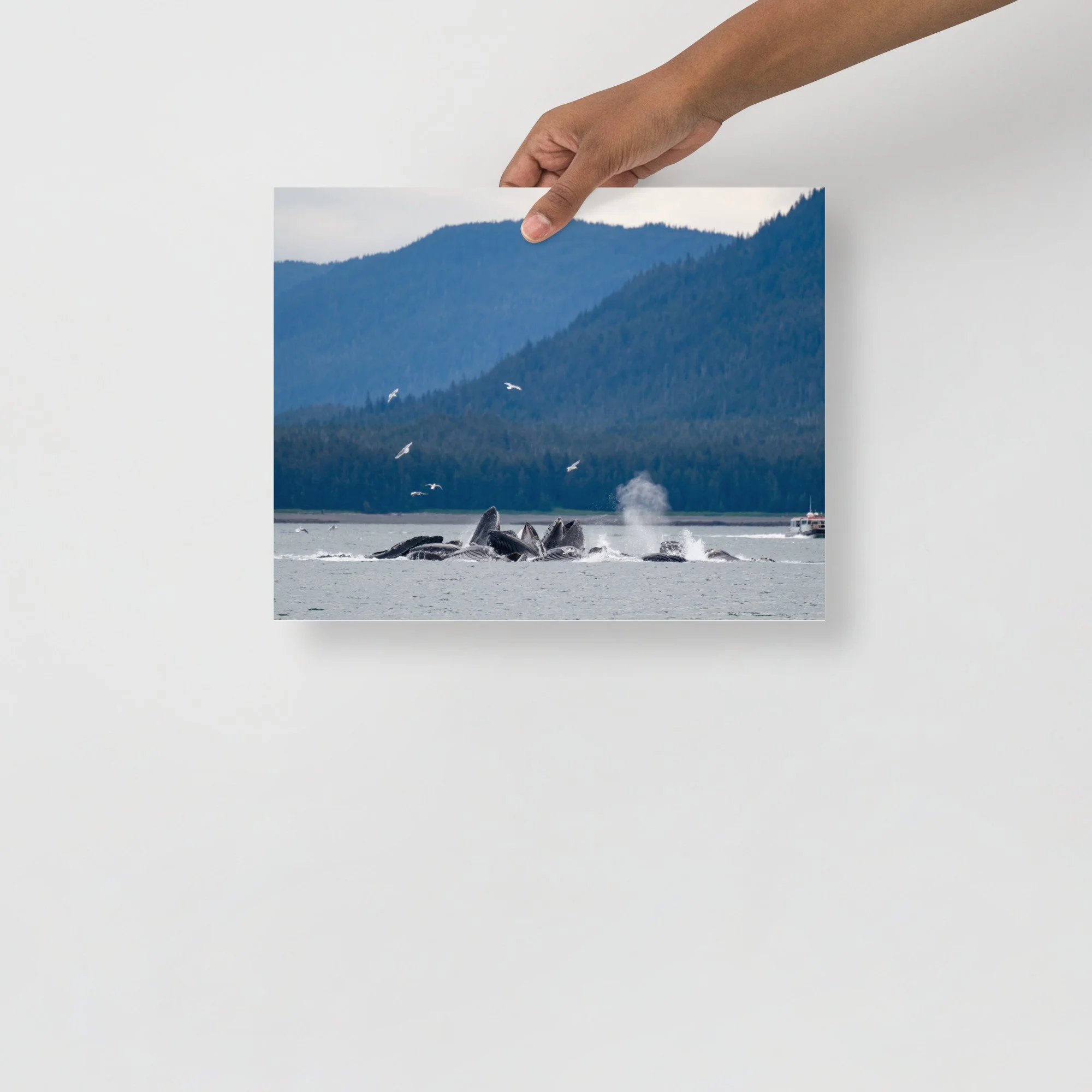 enhanced-matte-paper-poster-(in)-11x14-front-64c087fd0e594.jpg