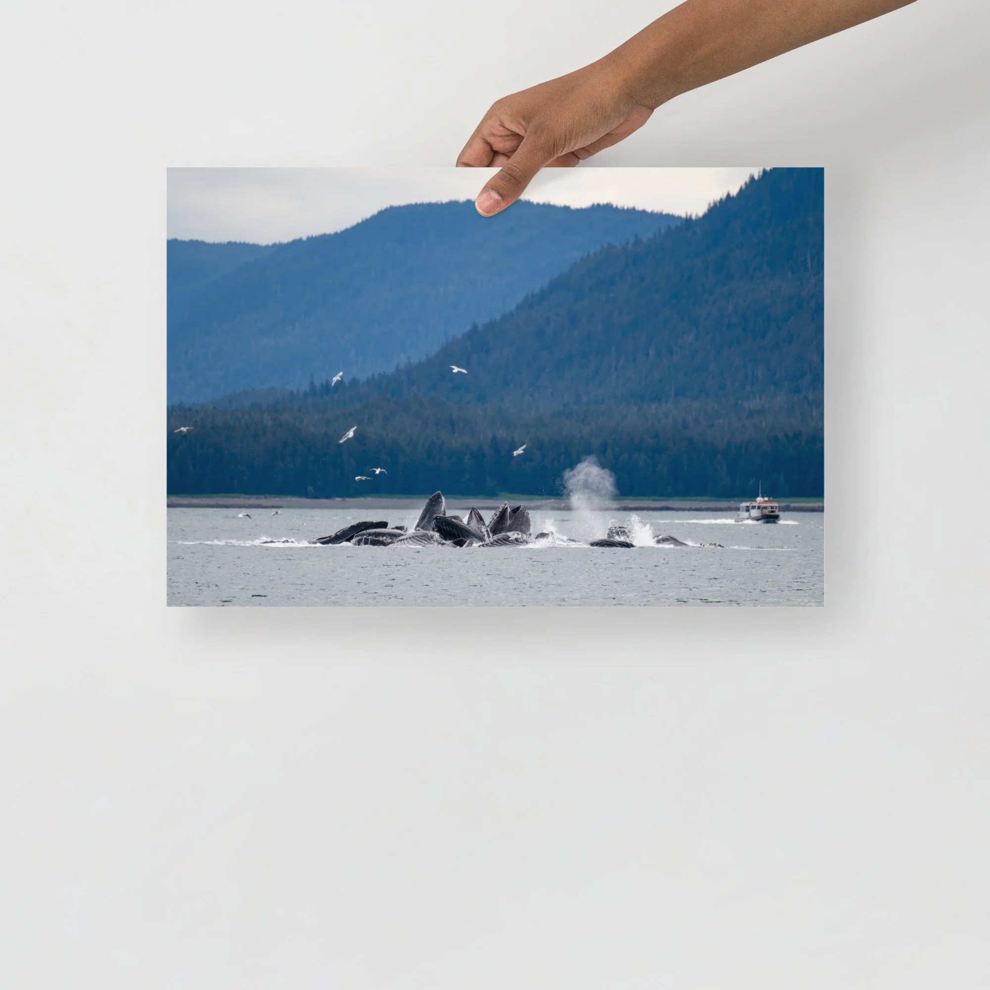 enhanced-matte-paper-poster-(in)-12x18-front-64c087fd0e662.jpg