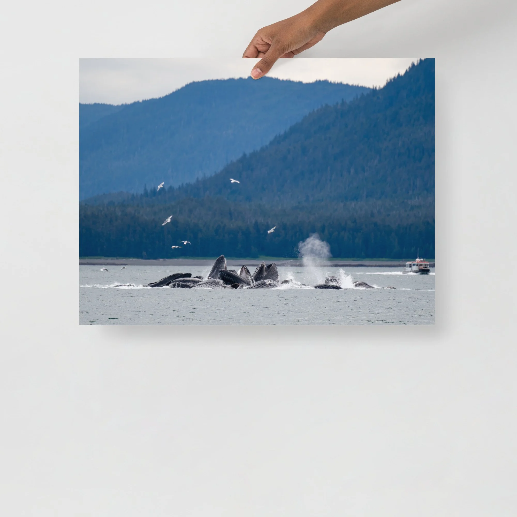 enhanced-matte-paper-poster-(in)-18x24-front-64c087fd0e73b.jpg