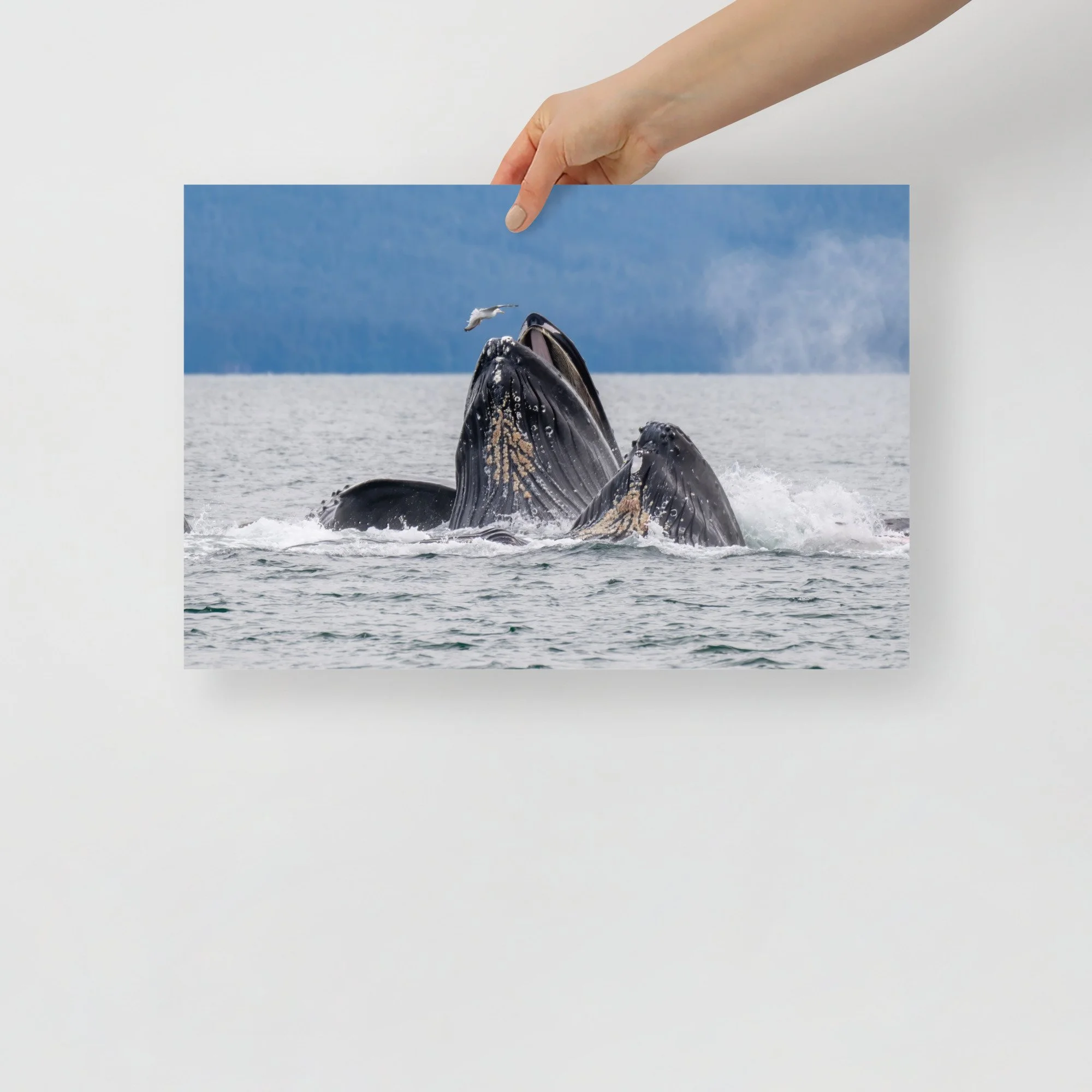 enhanced-matte-paper-poster-(in)-12x18-front-64c094b12d613.jpg