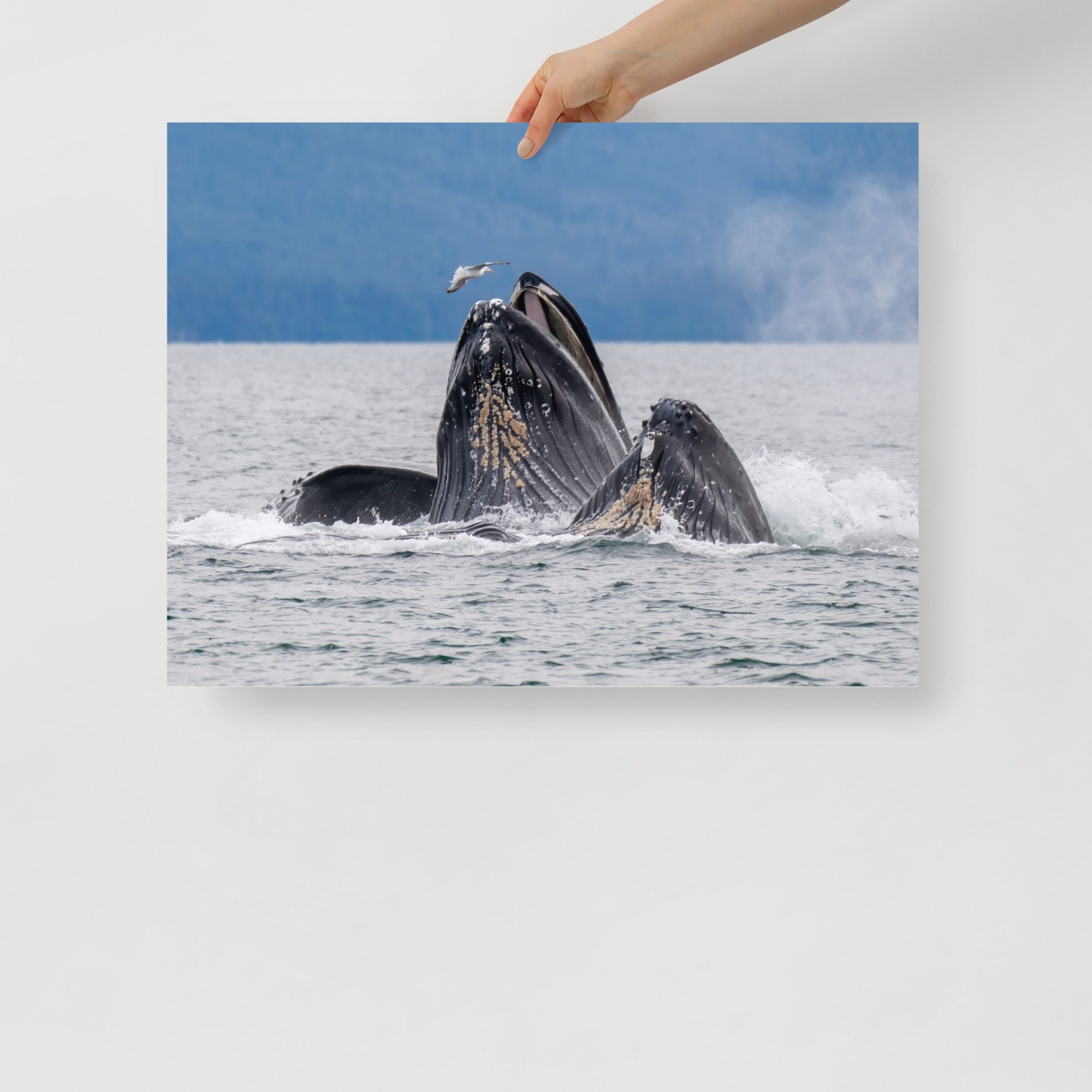 enhanced-matte-paper-poster-(in)-18x24-front-64c094b12d702.jpg