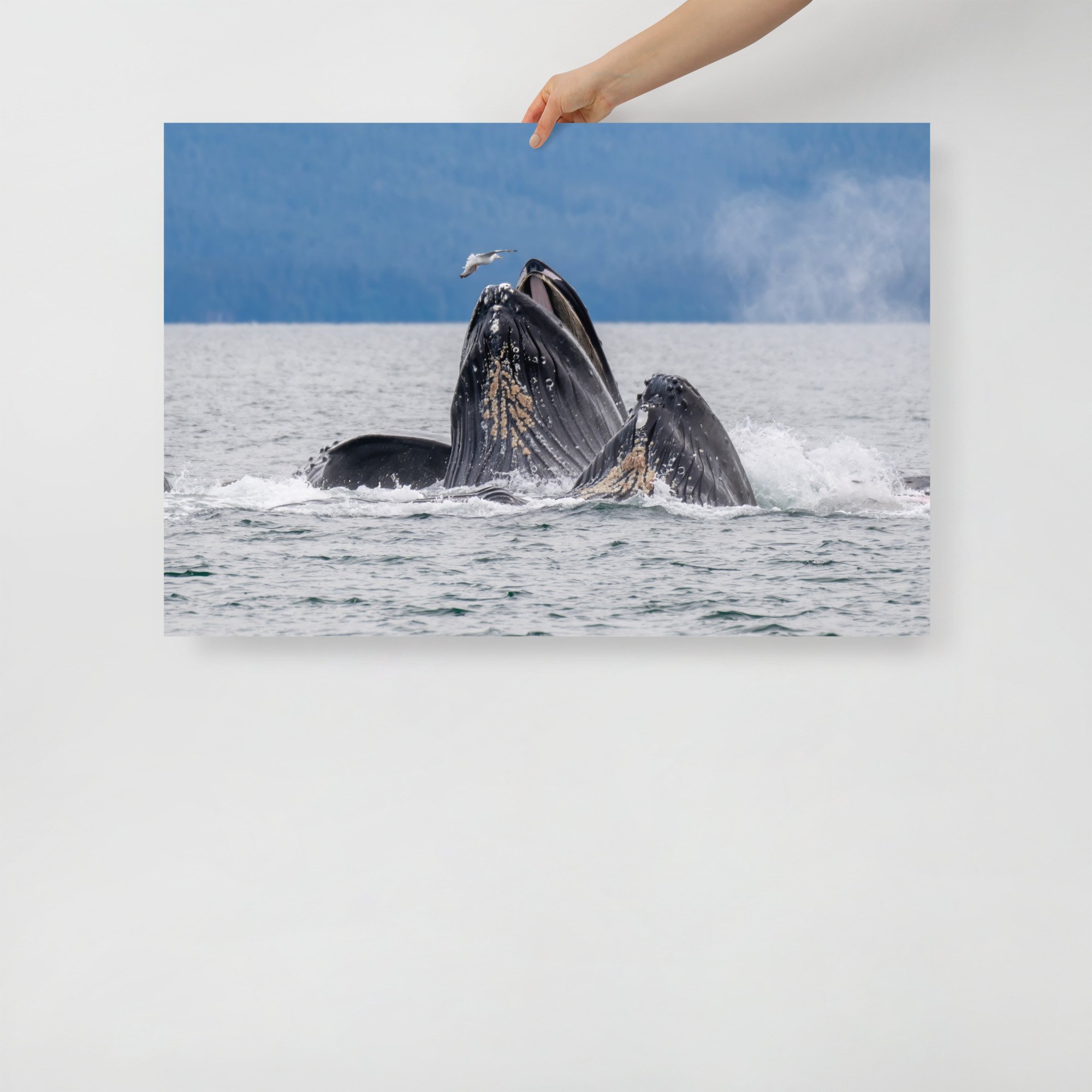 enhanced-matte-paper-poster-(in)-24x36-front-64c094b12d761.jpg