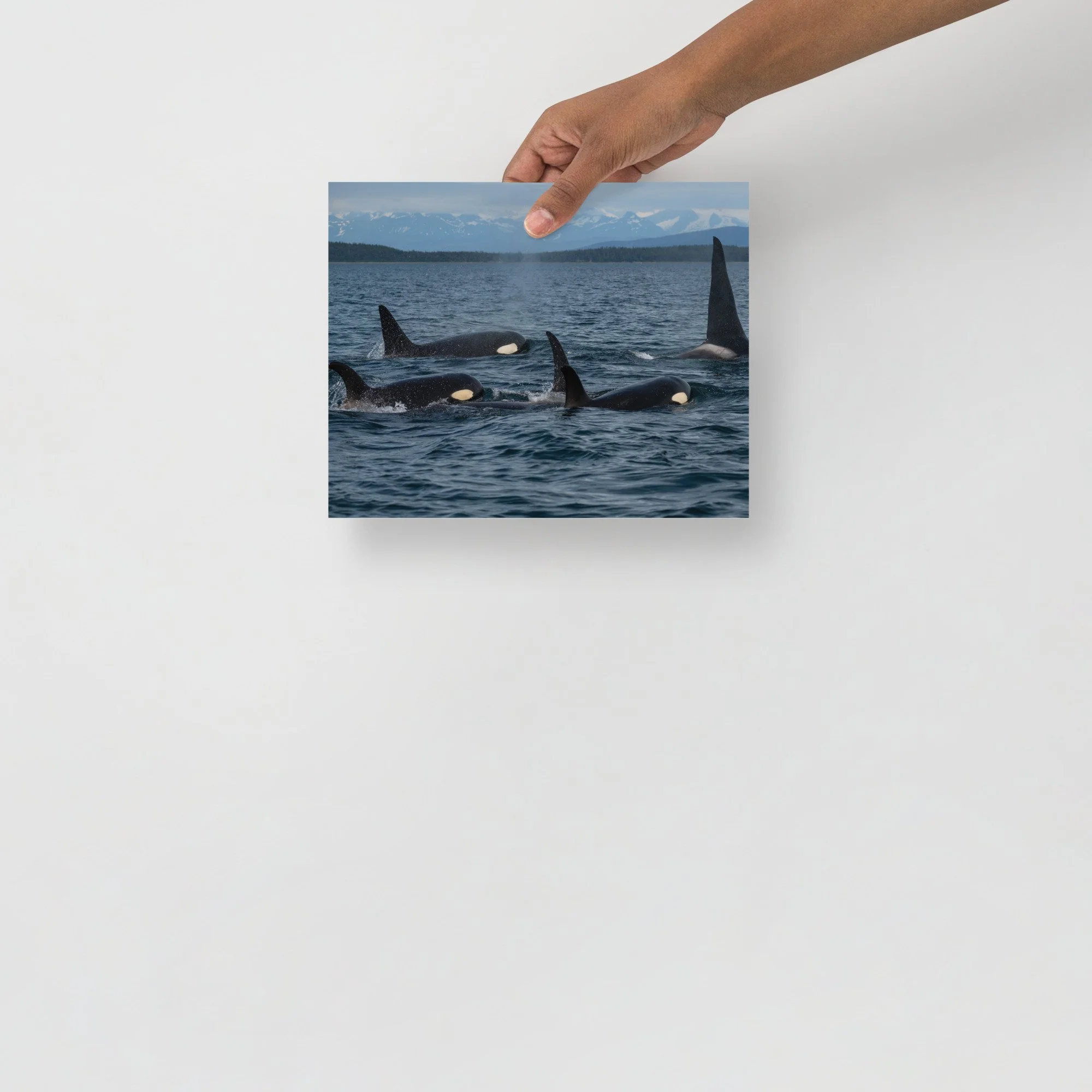 enhanced-matte-paper-poster-(in)-8x10-front-64c8749b264c7.jpg