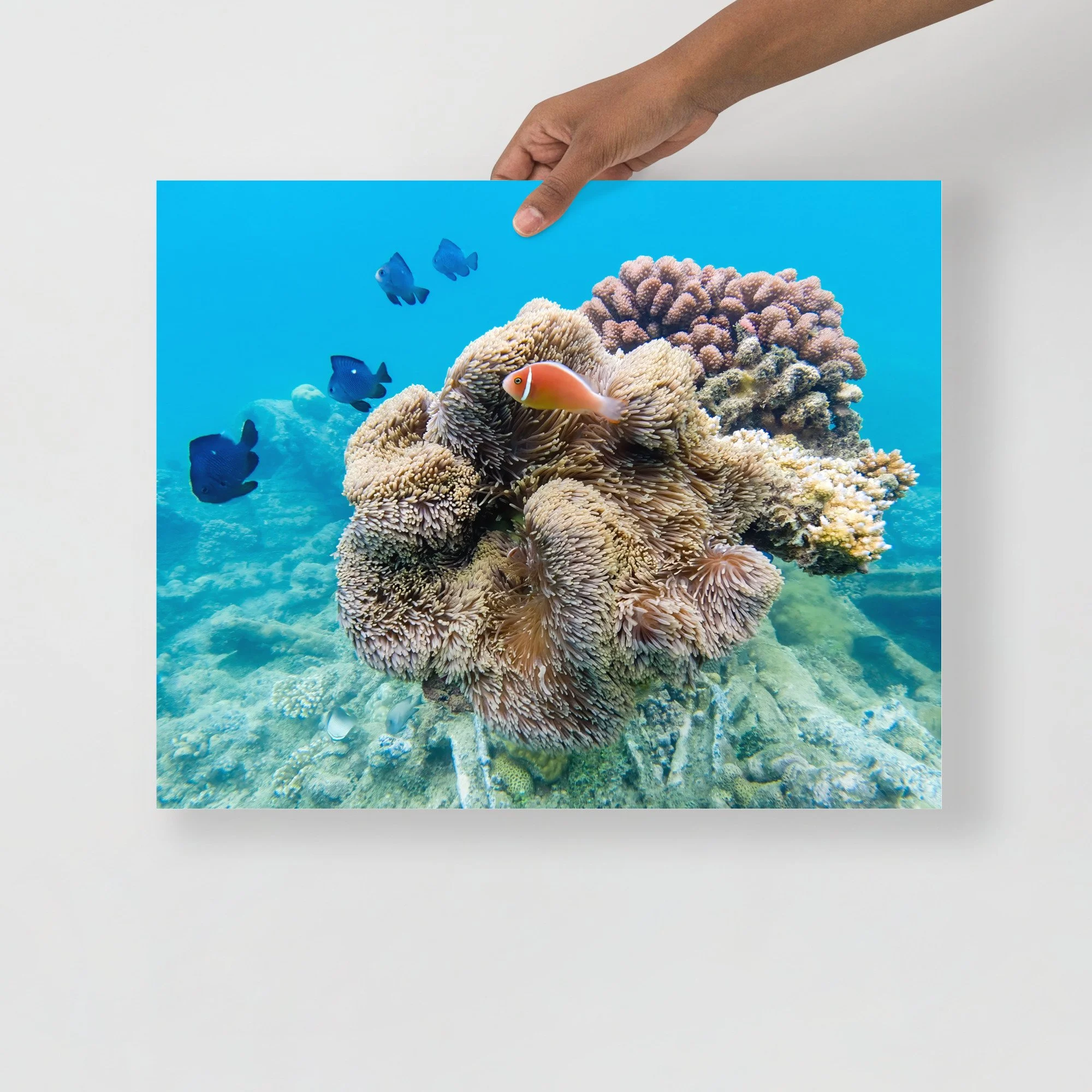 enhanced-matte-paper-poster-(in)-16x20-front-65c55c4319689.jpg