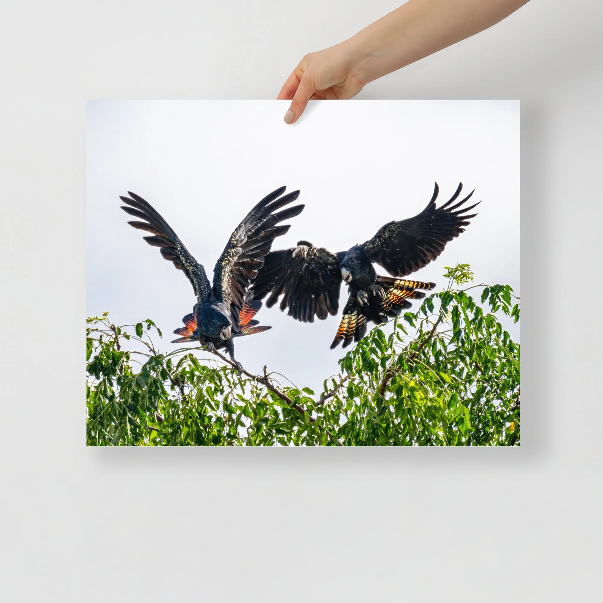 enhanced-matte-paper-poster-(in)-16x20-front-65c561417d404.jpg