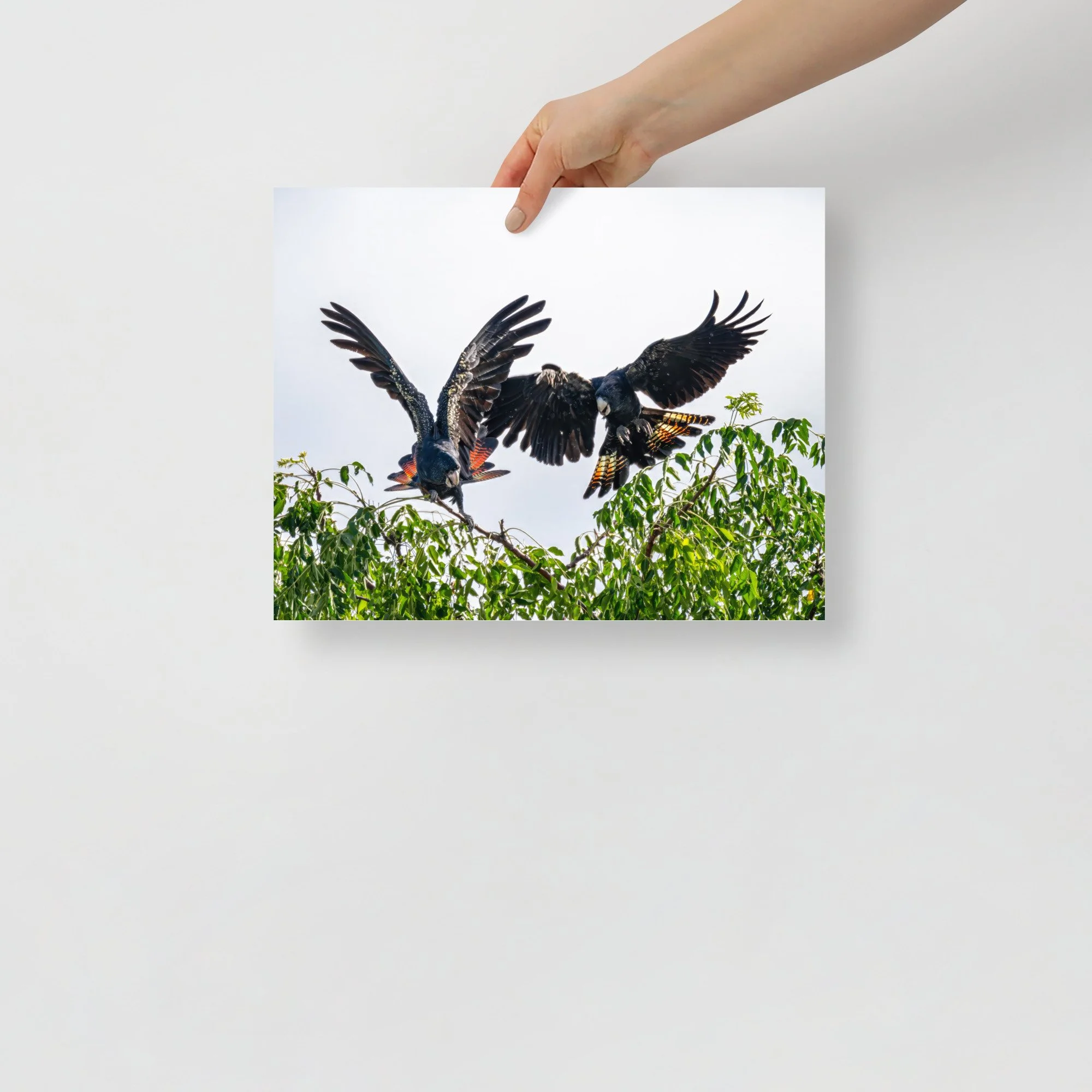 enhanced-matte-paper-poster-(in)-11x14-front-65c561417e04e.jpg