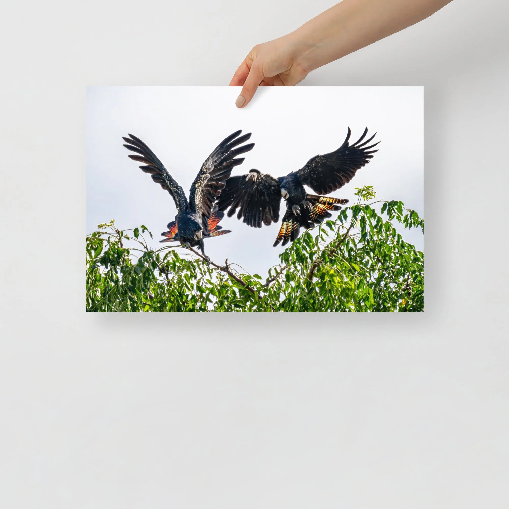 enhanced-matte-paper-poster-(in)-12x18-front-65c561417e0d9.jpg