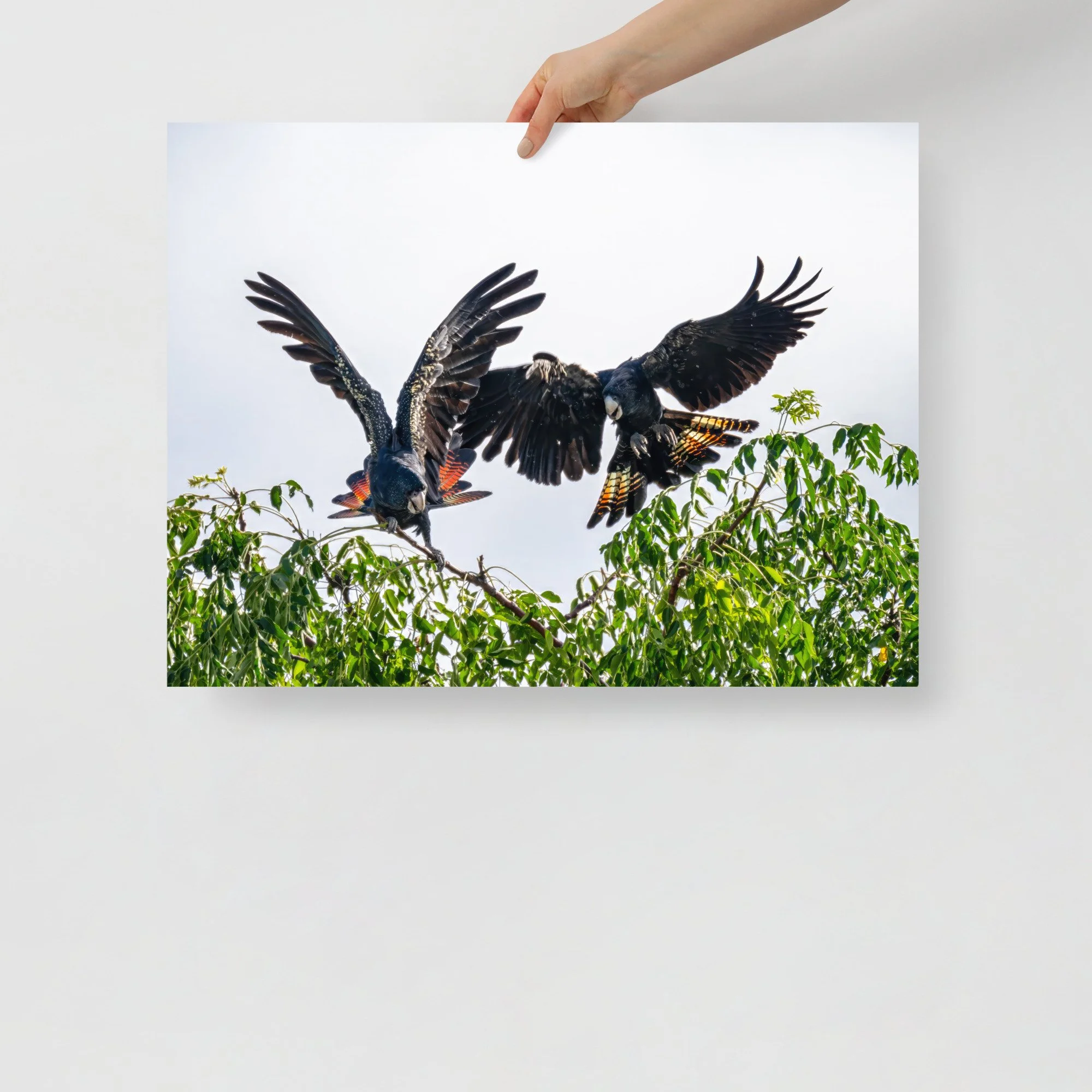 enhanced-matte-paper-poster-(in)-18x24-front-65c561417e184.jpg