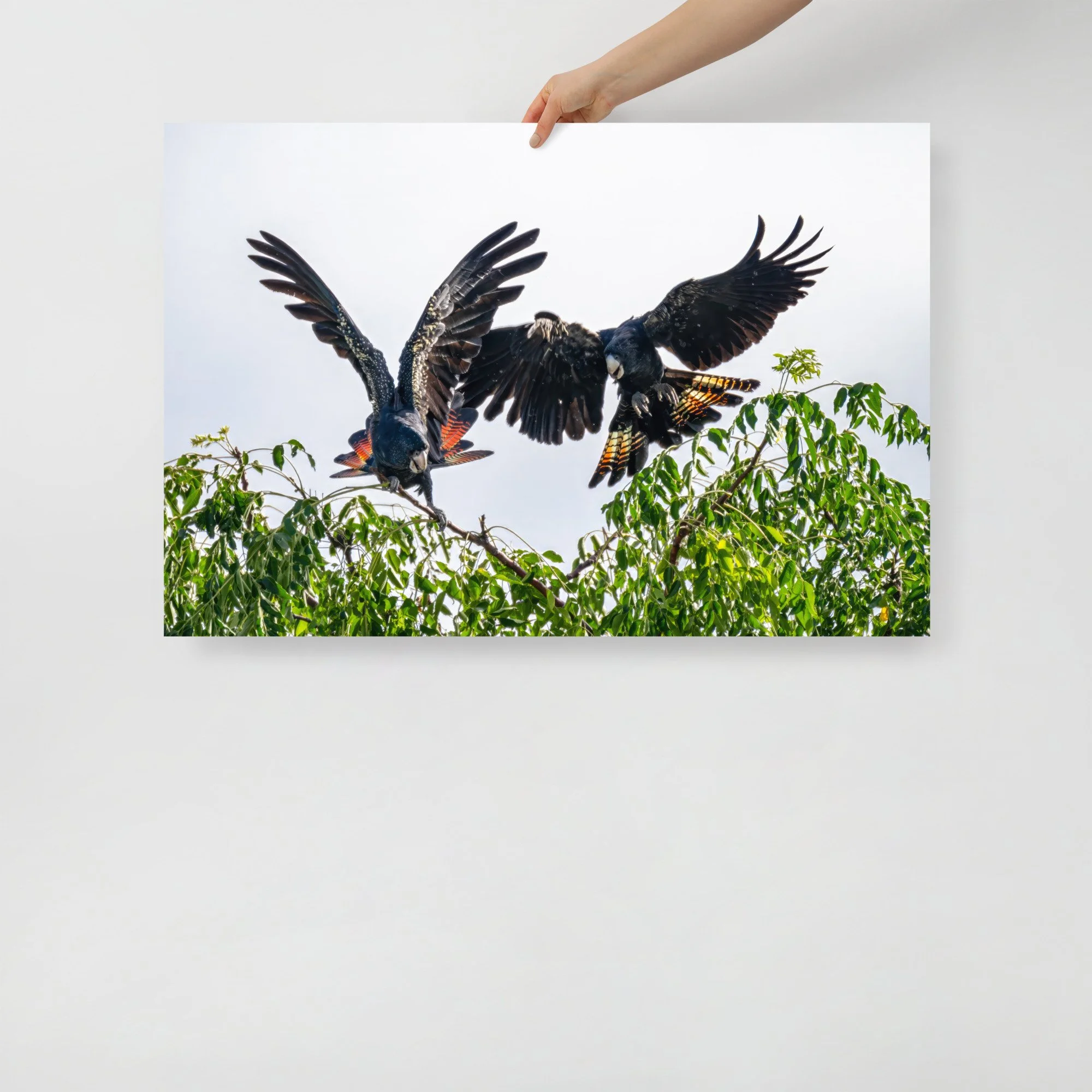 enhanced-matte-paper-poster-(in)-24x36-front-65c561417e1f0.jpg
