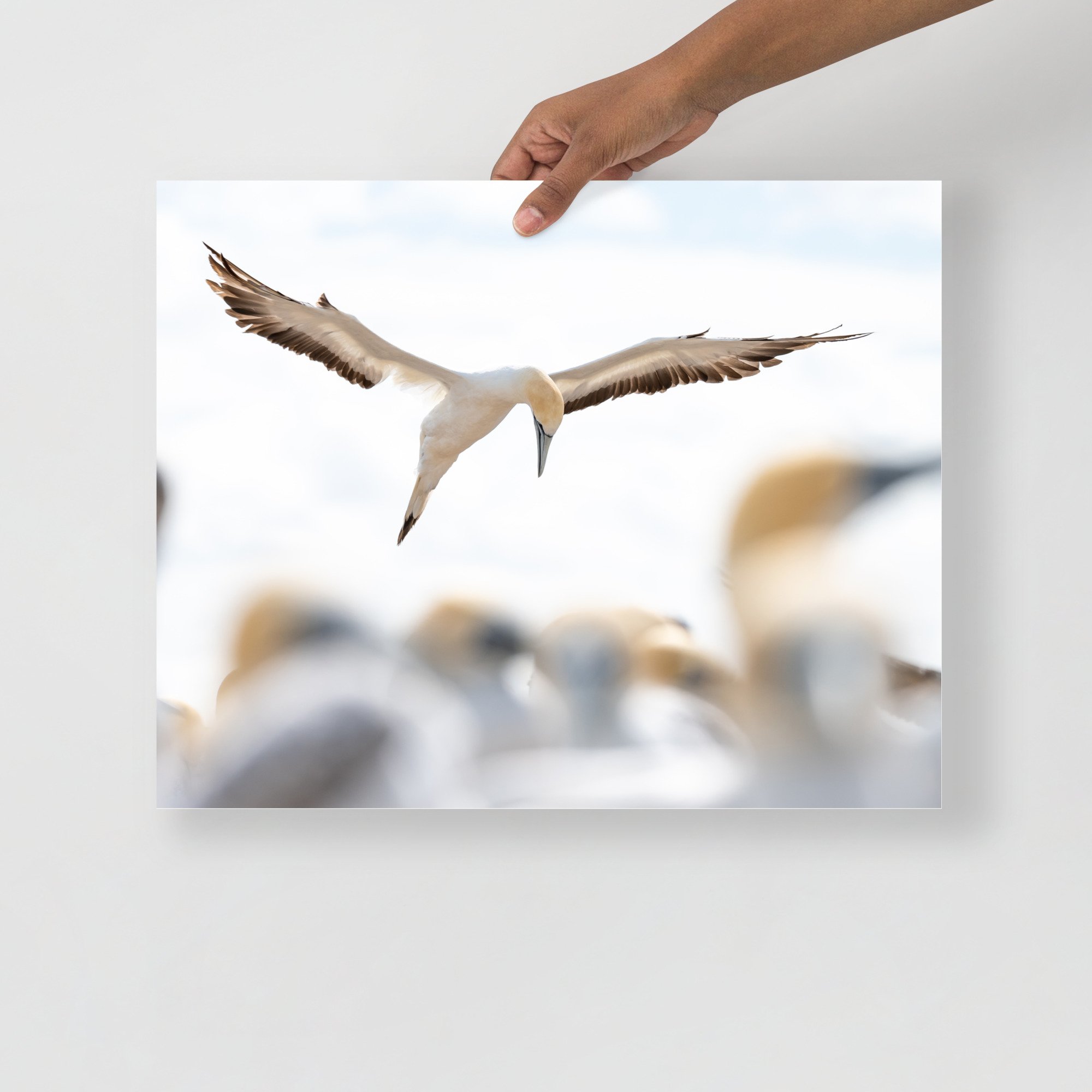 enhanced-matte-paper-poster-(in)-16x20-front-66465fc50020f.jpg