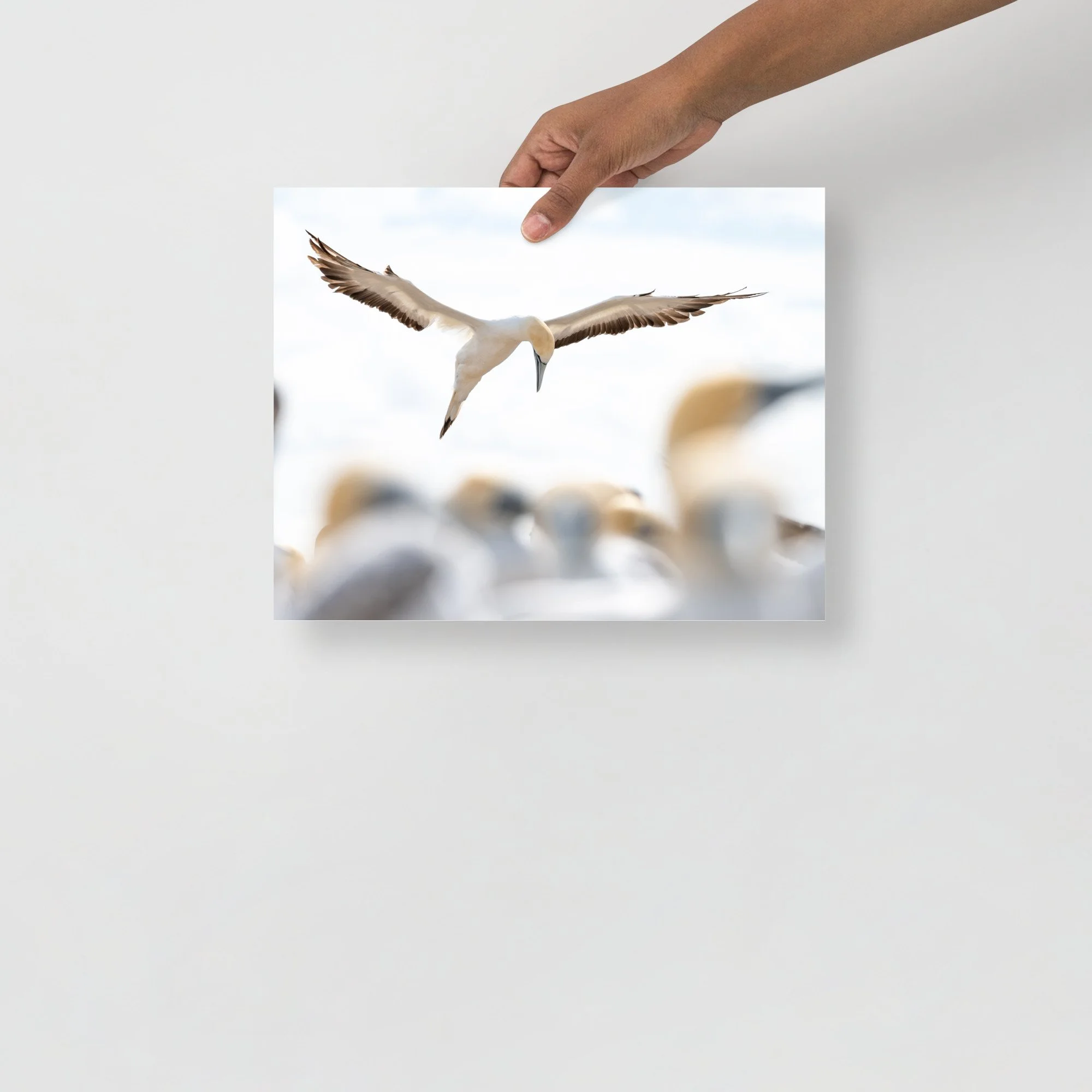 enhanced-matte-paper-poster-(in)-11x14-front-66465fc5025fd.jpg