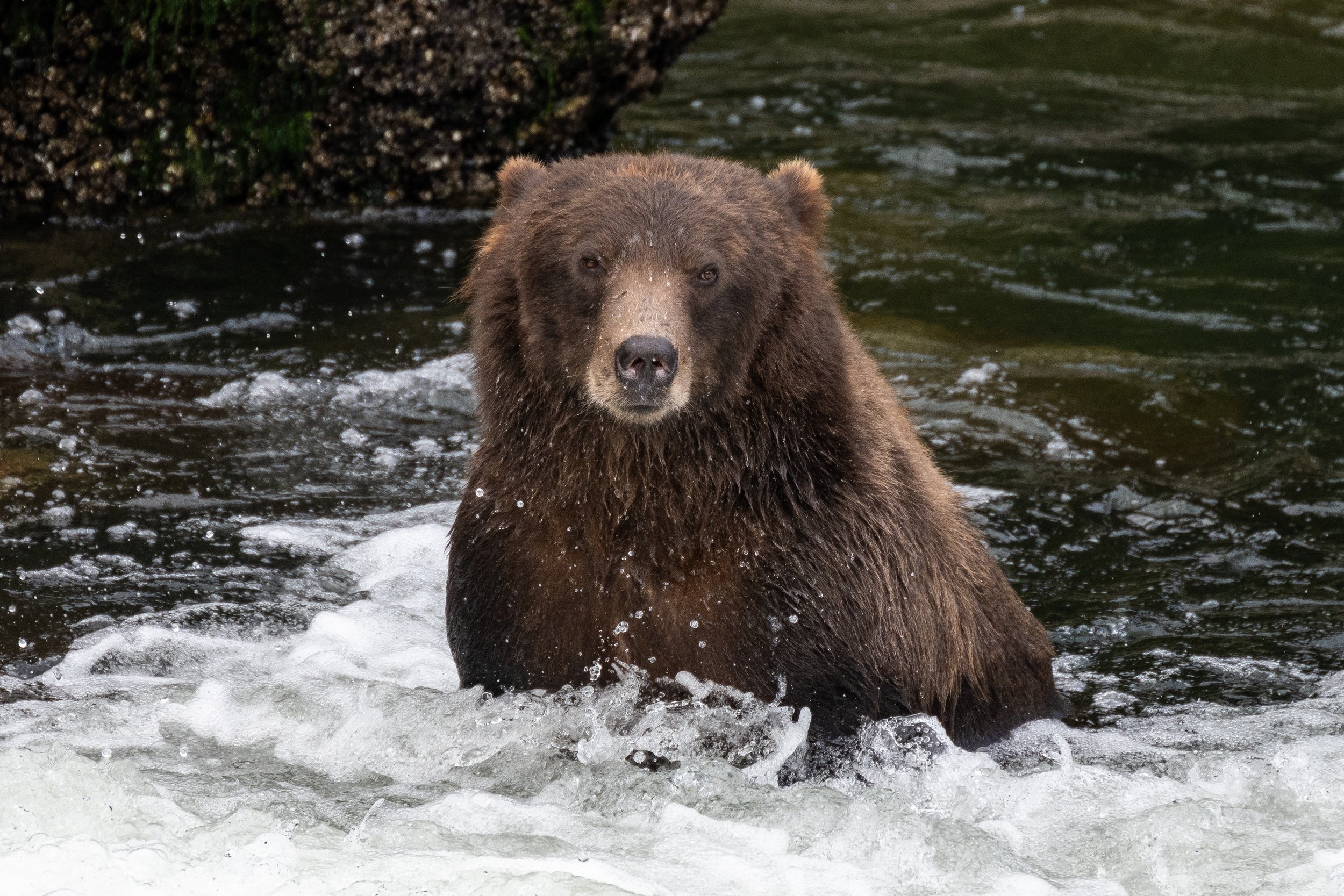 Explore Southeast Alaska with Orbridge Travel