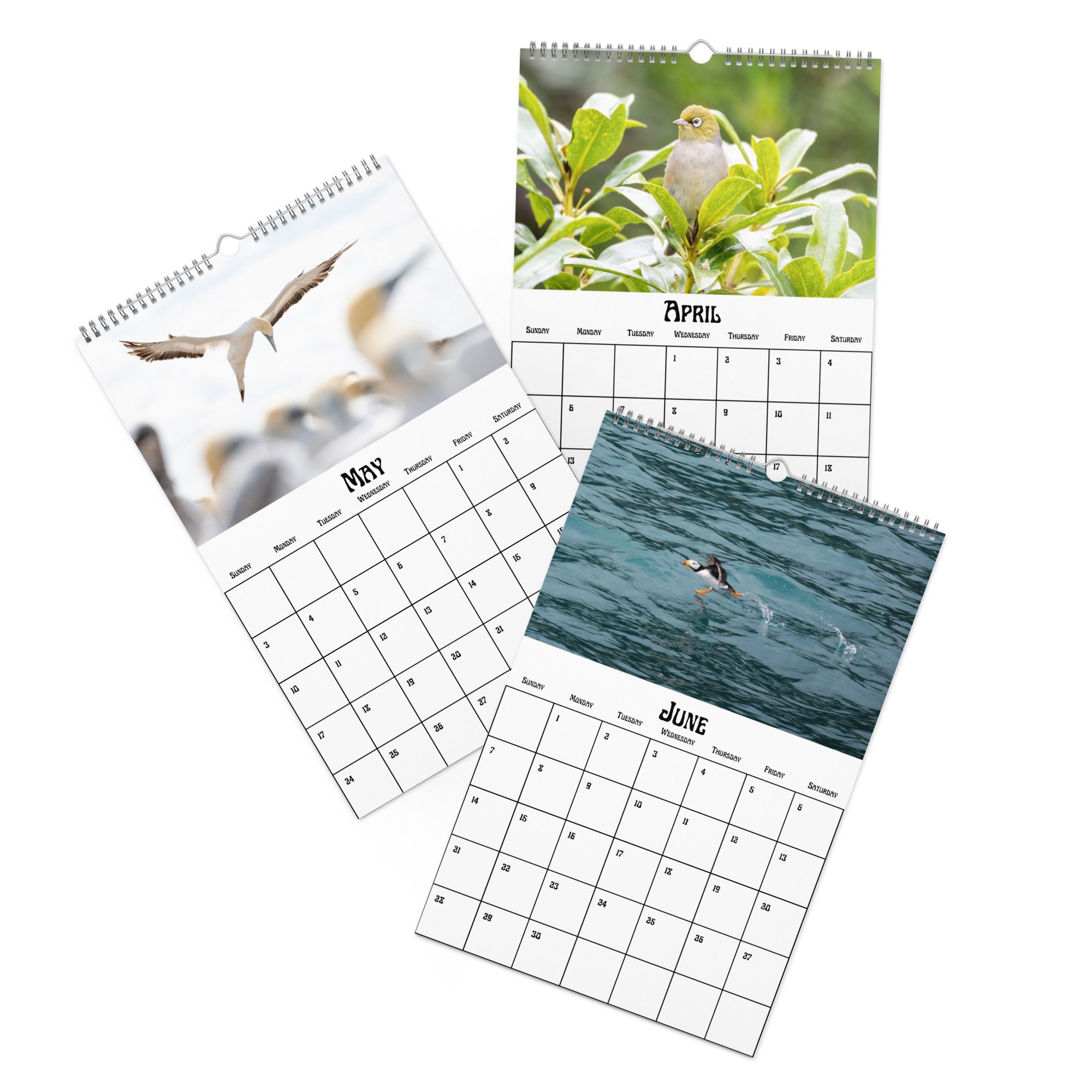 wall-calendar-(blank)-white-11x17-front-2-68f4a1dfa68c4.jpg