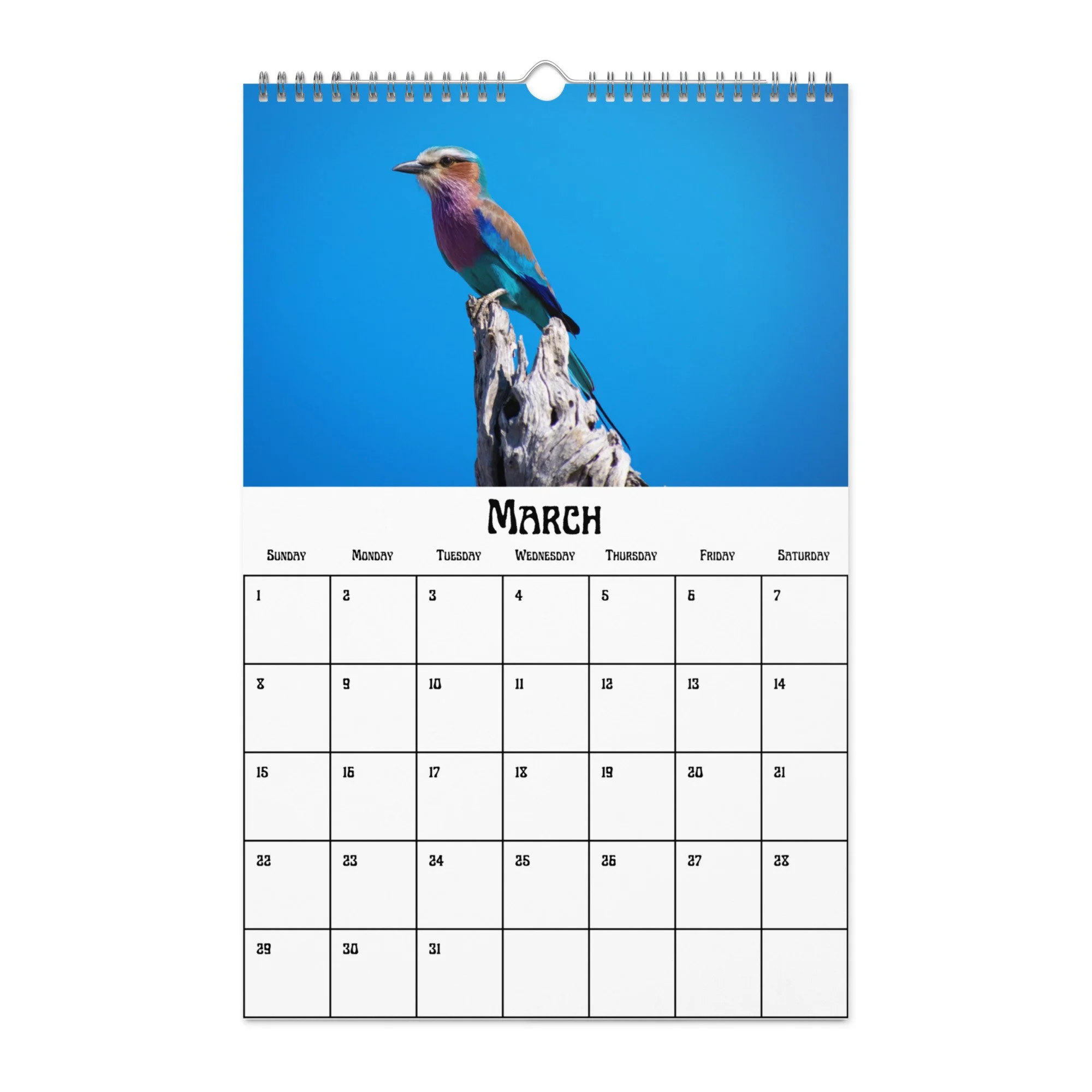 wall-calendar-(blank)-white-11x17-front-68f4a38b04218.jpg
