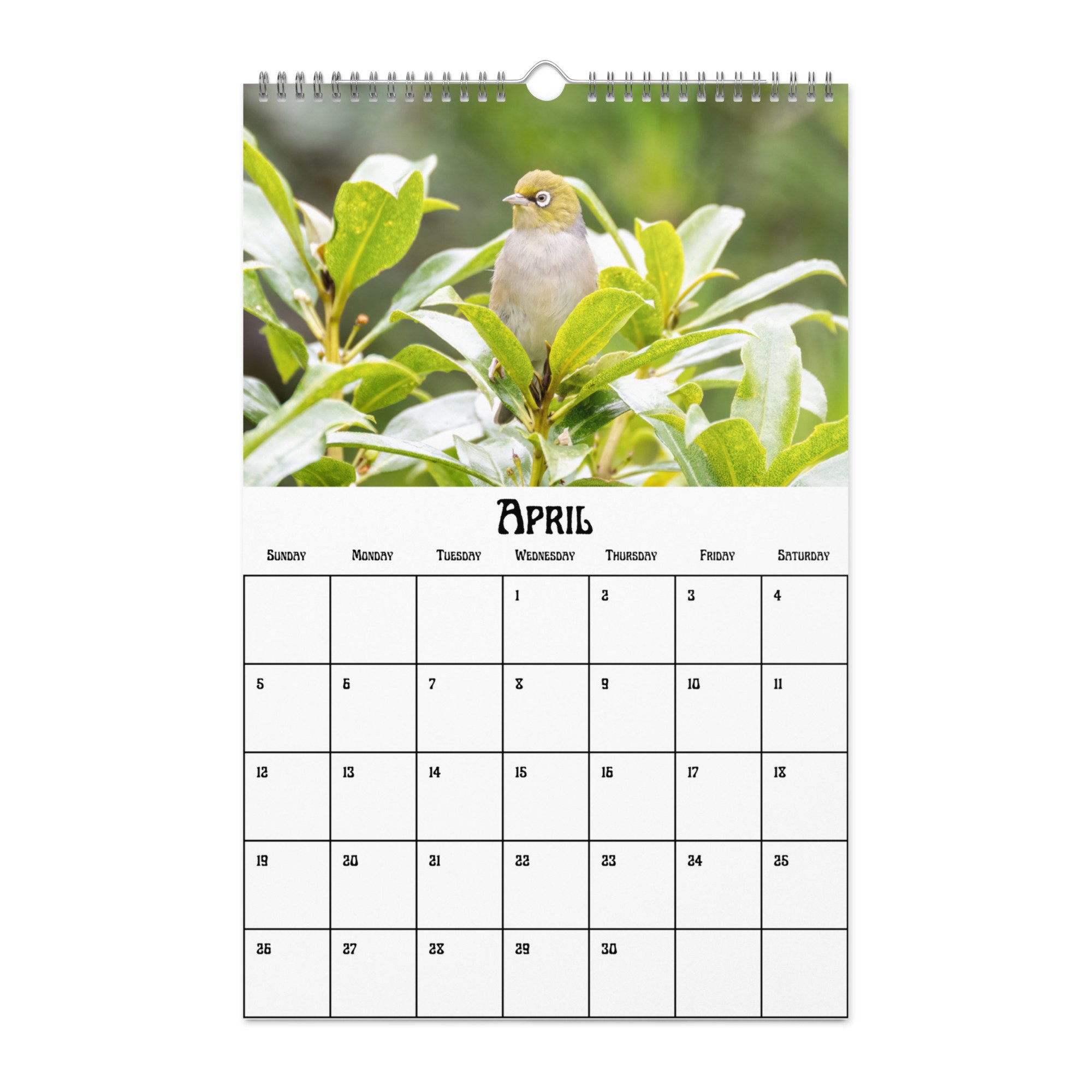 wall-calendar-(blank)-white-11x17-front-68f4a38b043e5.jpg