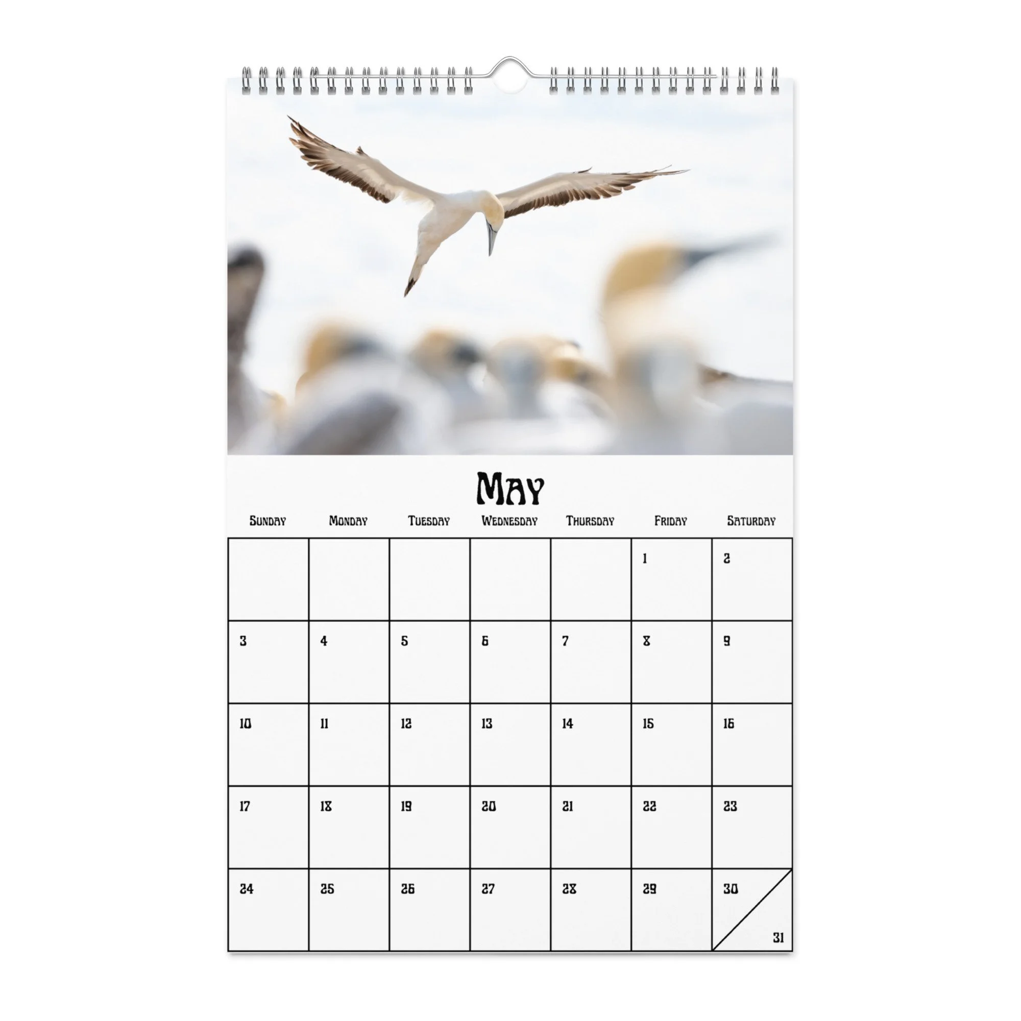 wall-calendar-(blank)-white-11x17-front-68f4a38b0459b.jpg