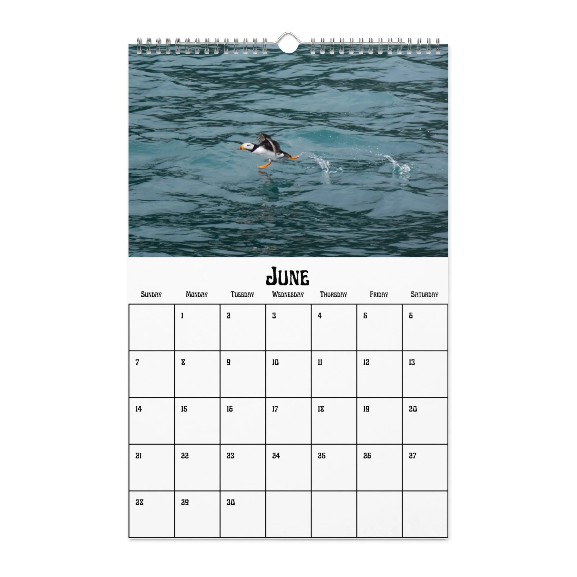 wall-calendar-(blank)-white-11x17-front-68f4a38b04741.jpg