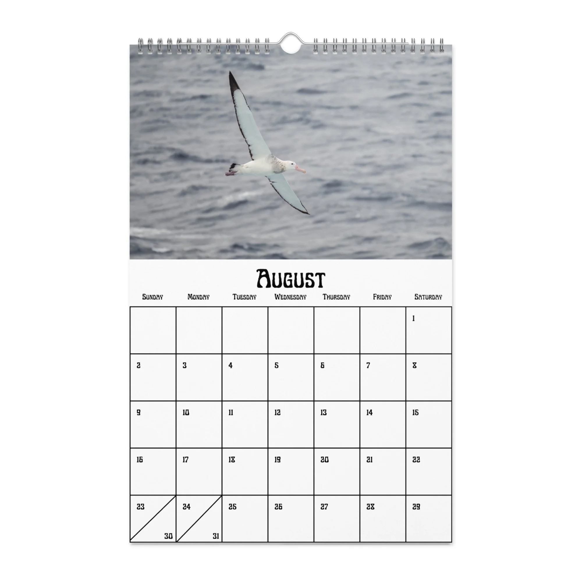 wall-calendar-(blank)-white-11x17-front-68f4a38b04ab8.jpg