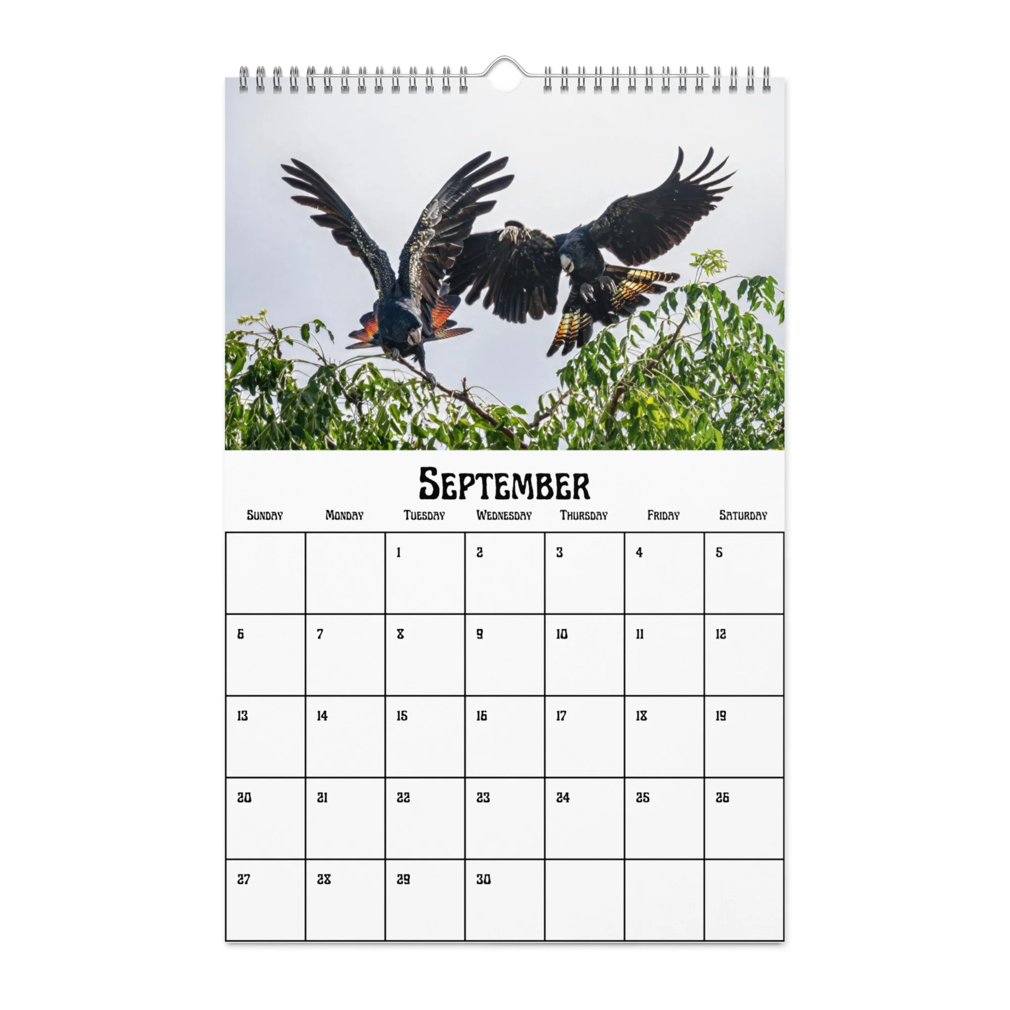 wall-calendar-(blank)-white-11x17-front-68f4a38b04c6a.jpg