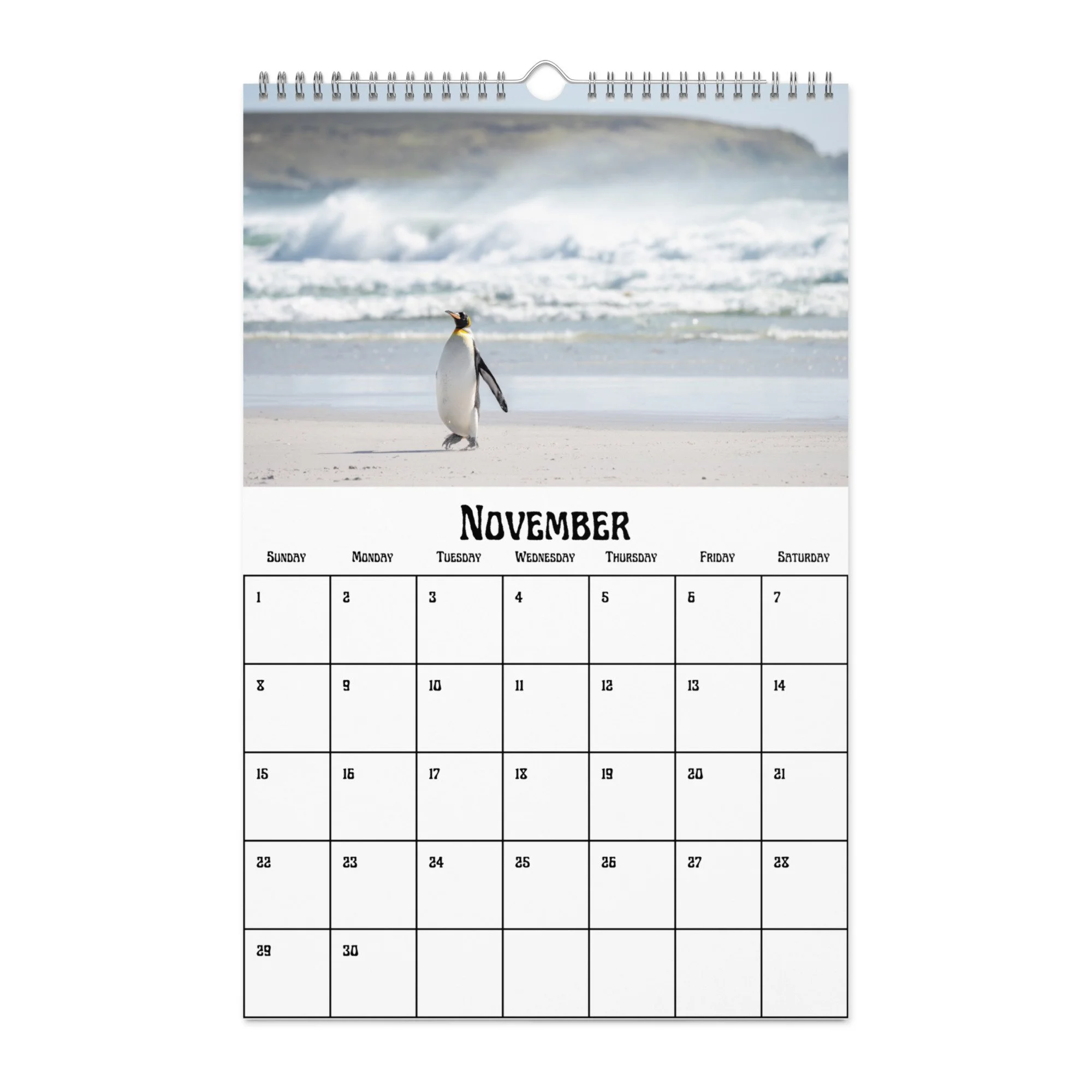 wall-calendar-(blank)-white-11x17-front-68f4a38b04ffe.jpg