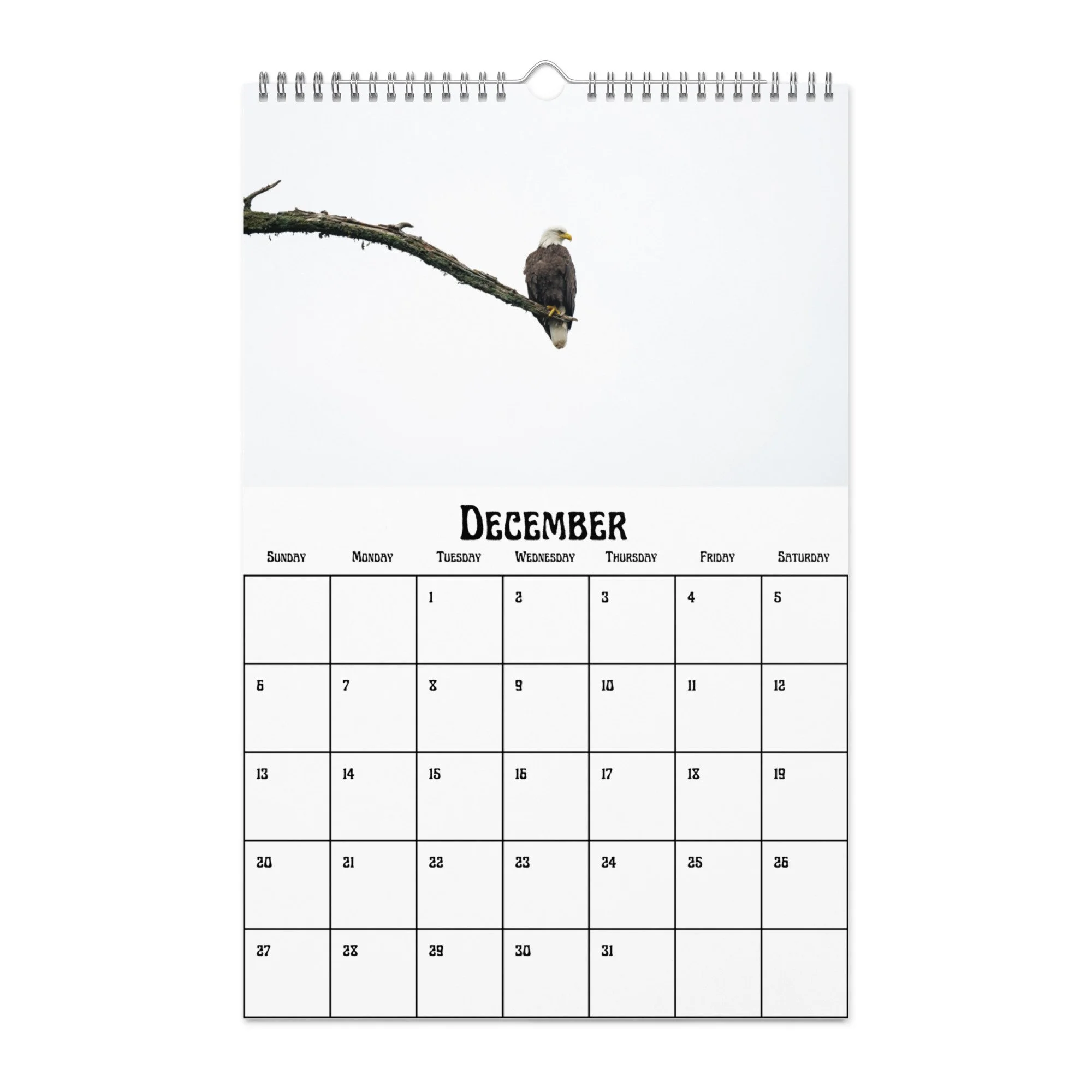 wall-calendar-(blank)-white-11x17-front-68f4a38b051bc.jpg