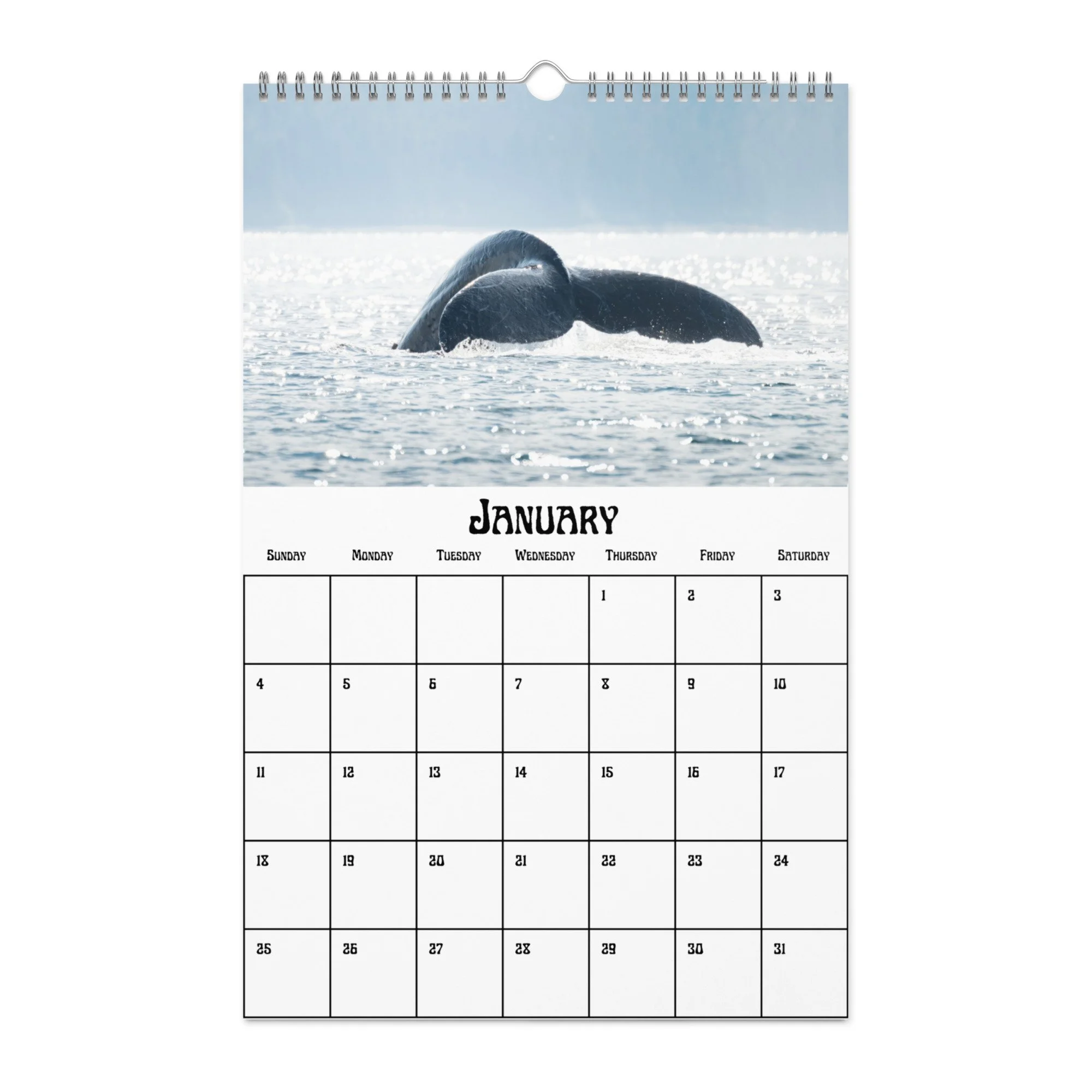wall-calendar-(blank)-white-11x17-front-68f4a9b4a0c91.jpg