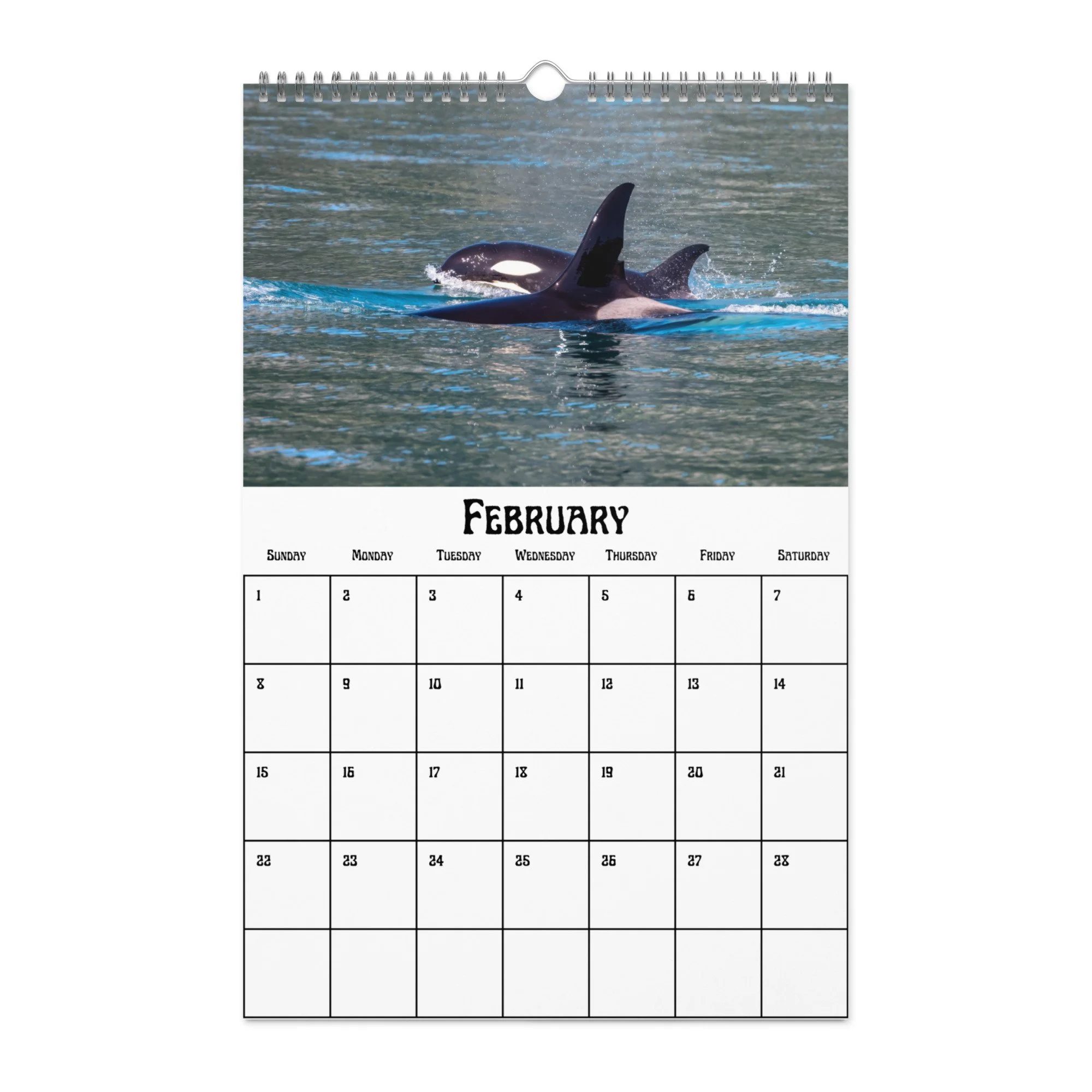 wall-calendar-(blank)-white-11x17-front-68f4a9b4a0d9b.jpg