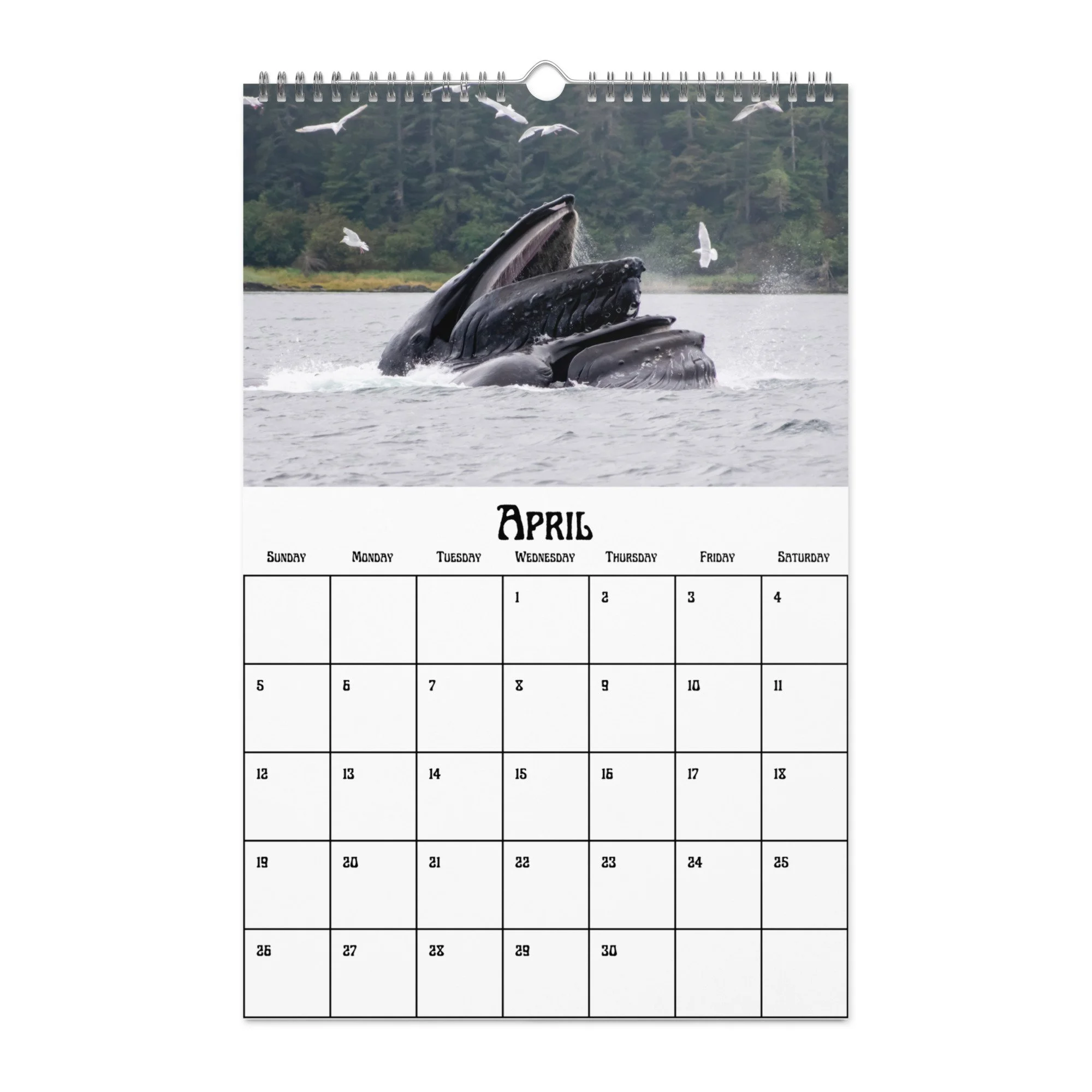 wall-calendar-(blank)-white-11x17-front-68f4a9b4a0f76.jpg