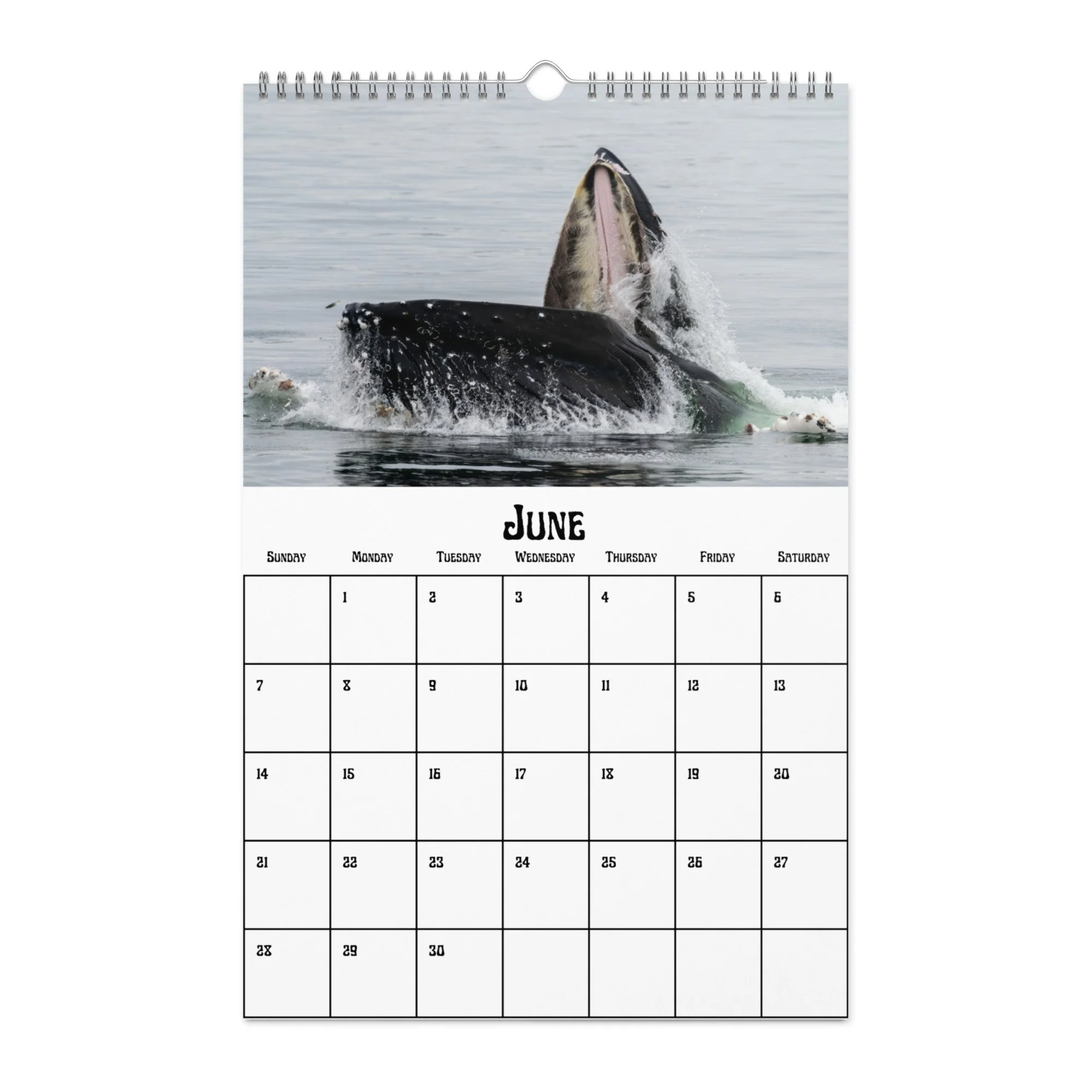 wall-calendar-(blank)-white-11x17-front-68f4a9b4a1144.jpg